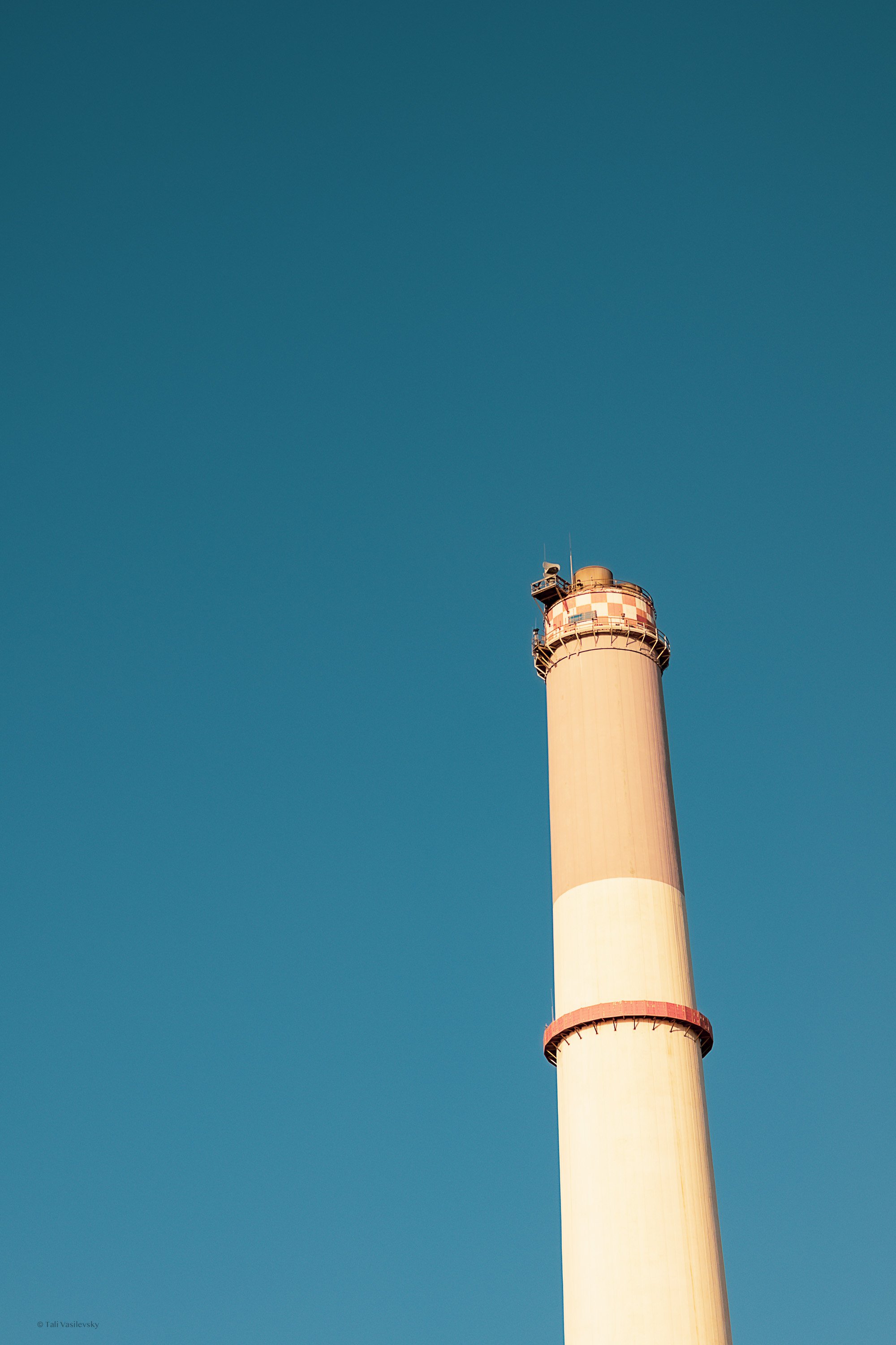 Tali Vasilevsky Photography -40.jpg