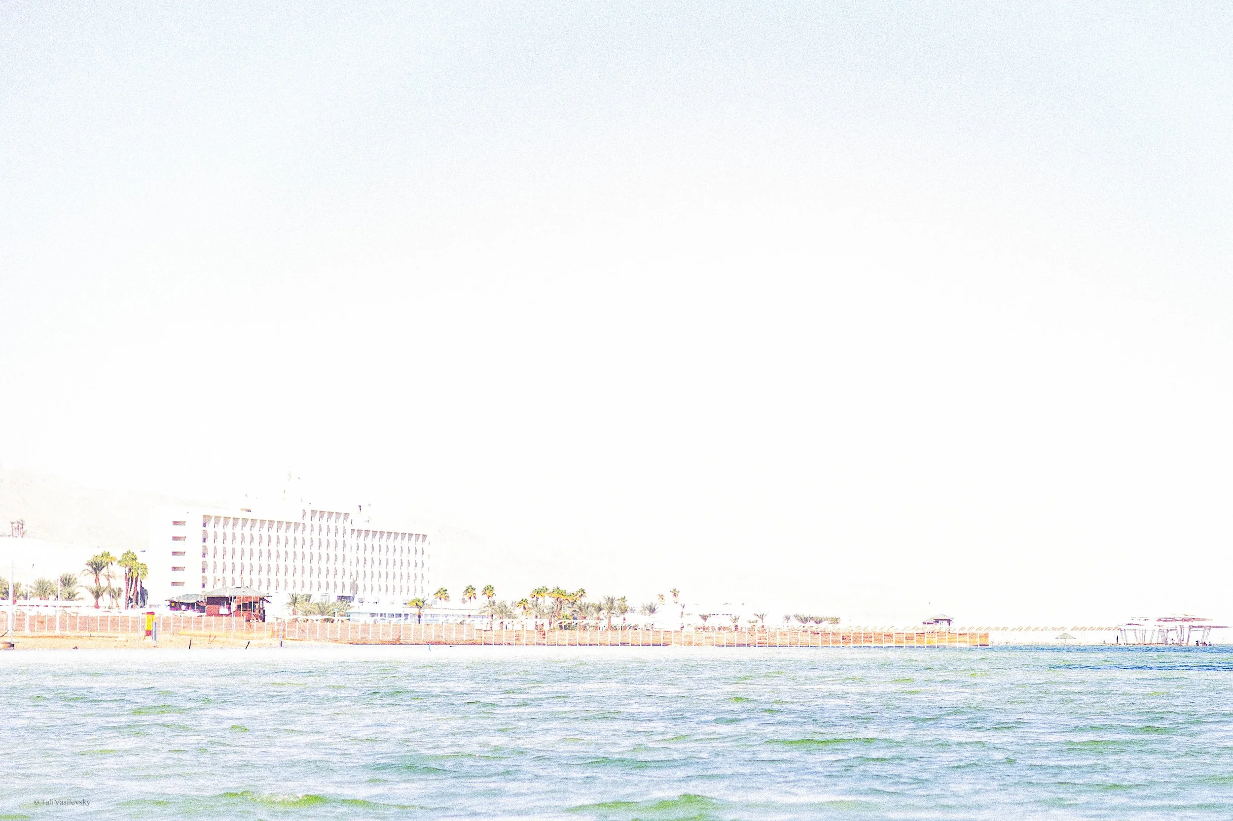 Tali Vasilevsky Photography -16.jpg