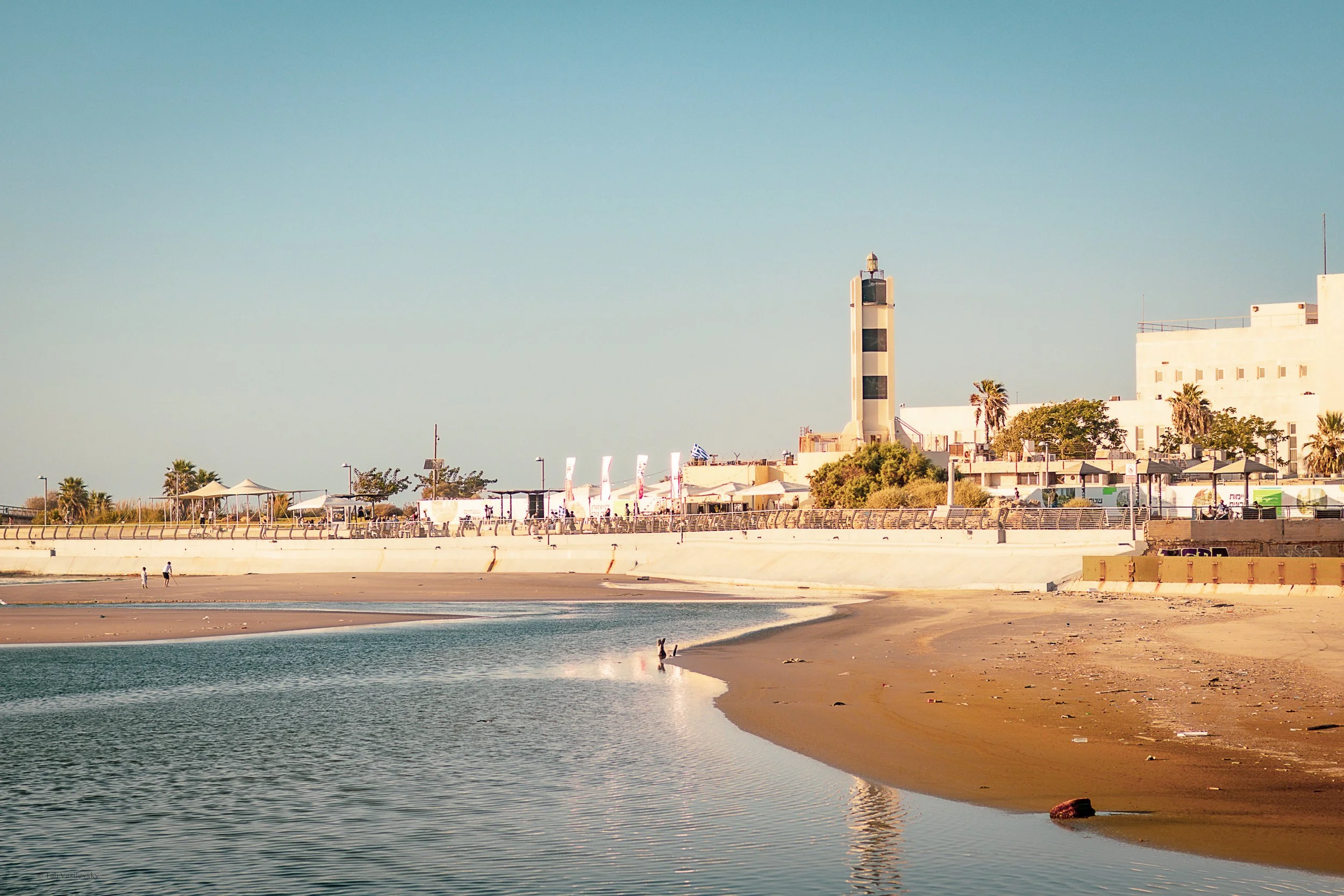 Tali Vasilevsky Photography -37.jpg