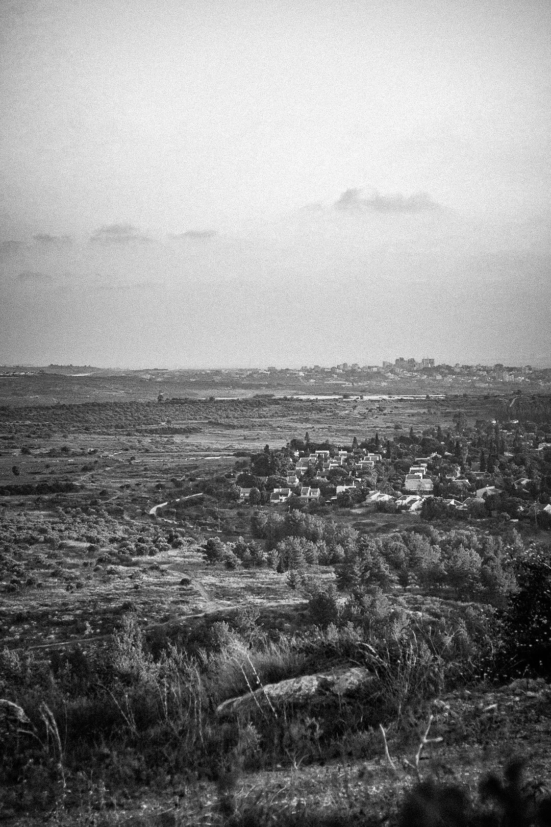 Tali vasilevsky -03.jpg