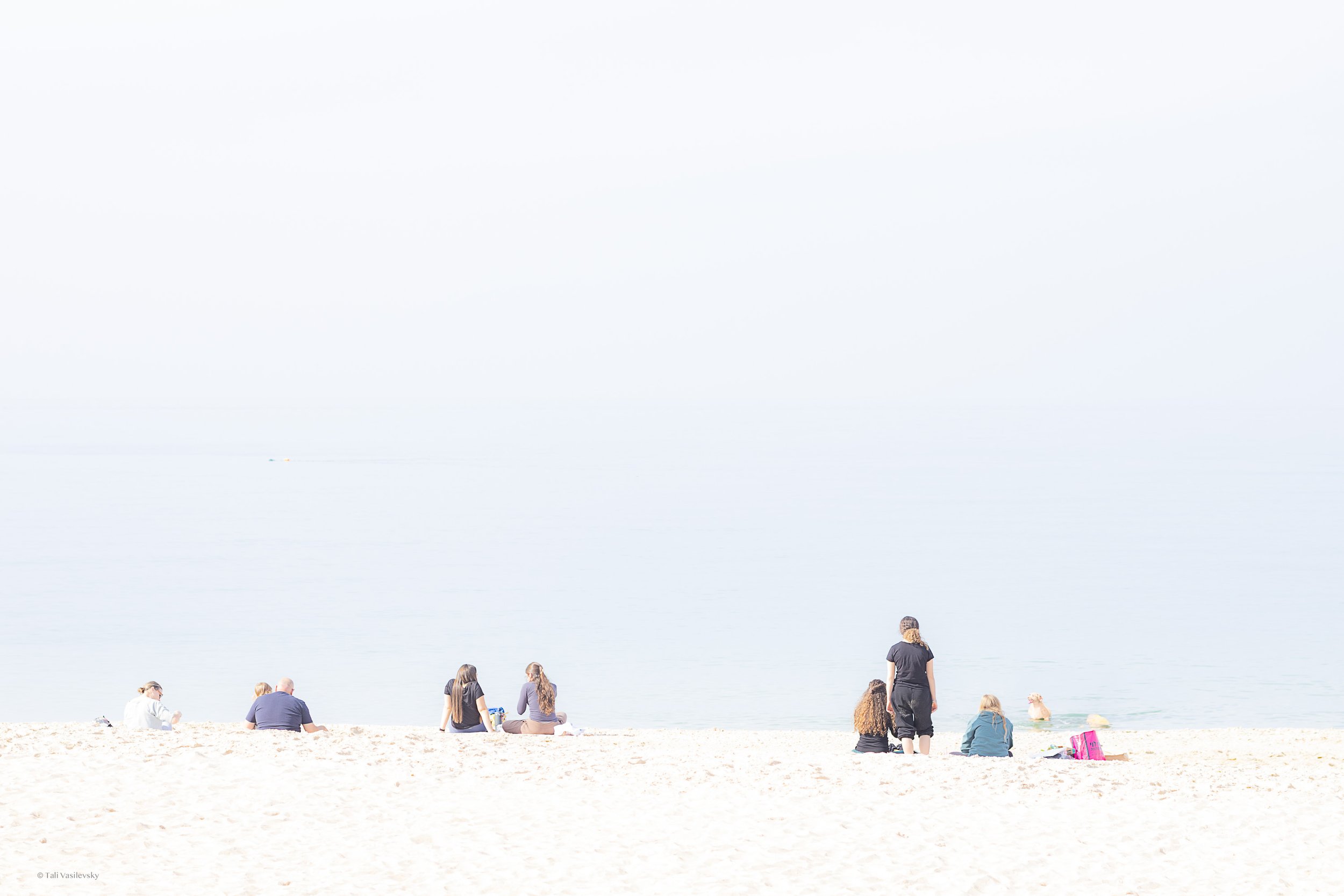 Tali Vasilevsky Photography -24.jpg