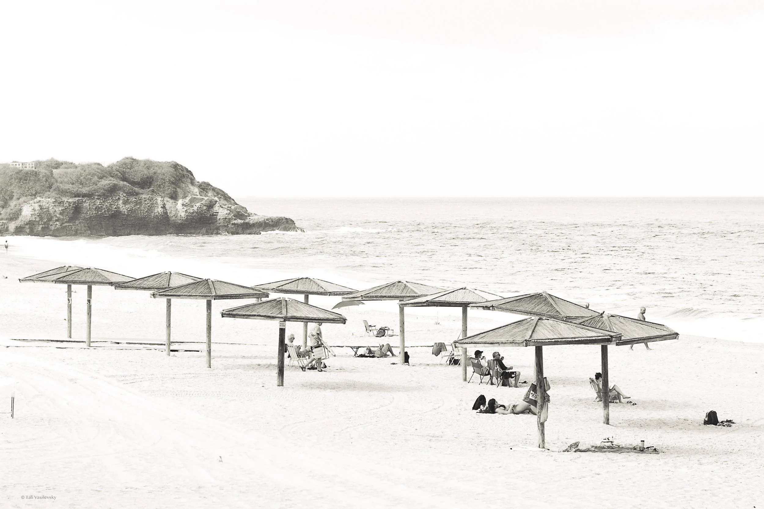 Tali Vasilevsky Photography -44.jpg