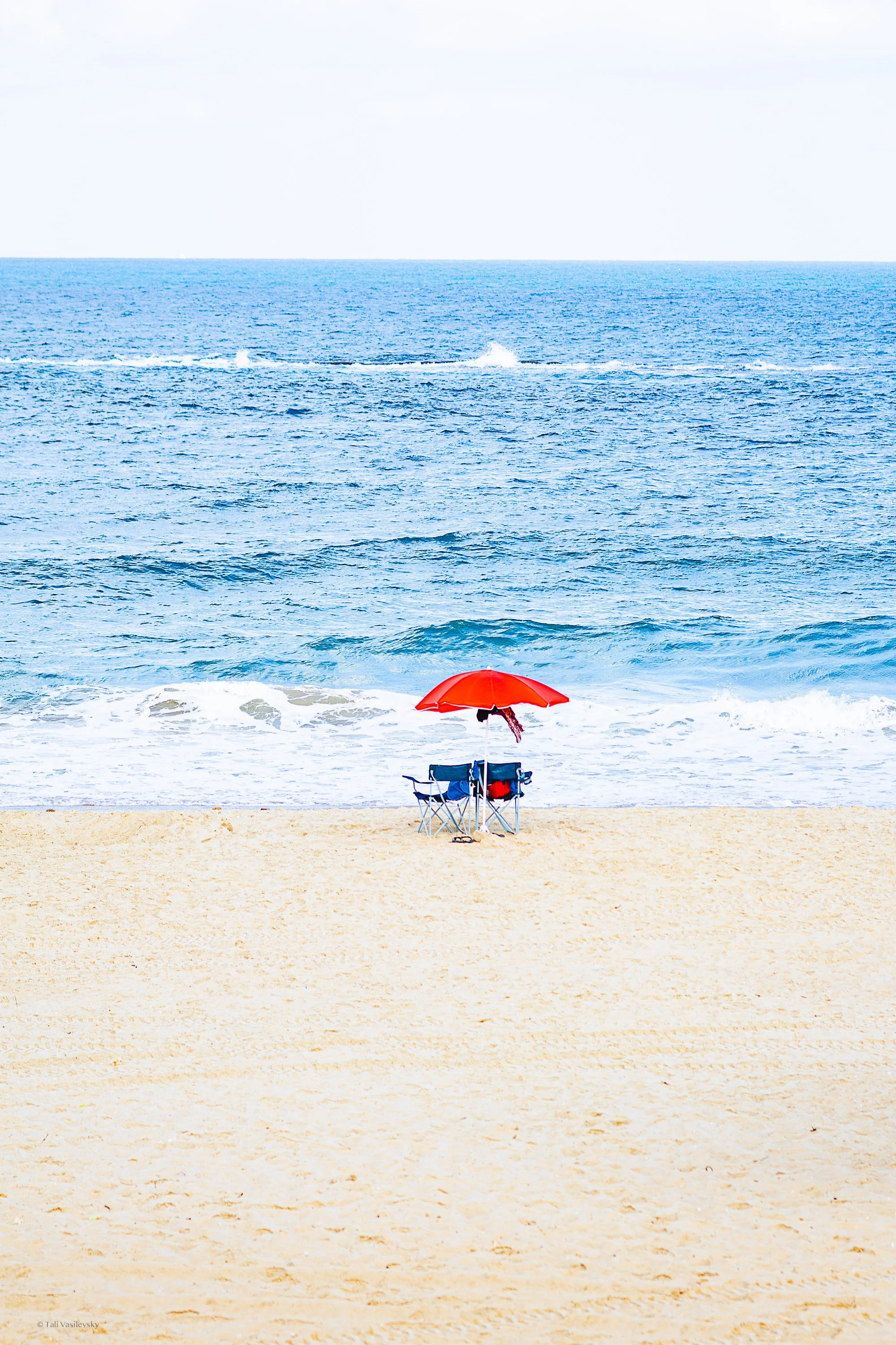 Tali Vasilevsky Photography -43.jpg