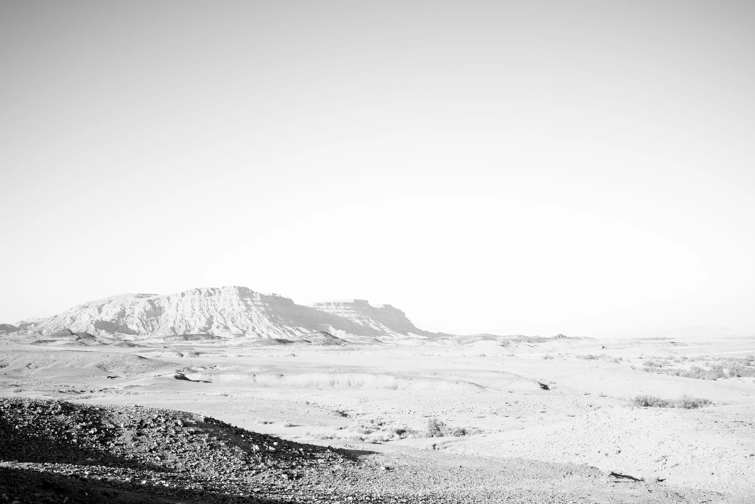 Tali vasilevsky -01.jpg