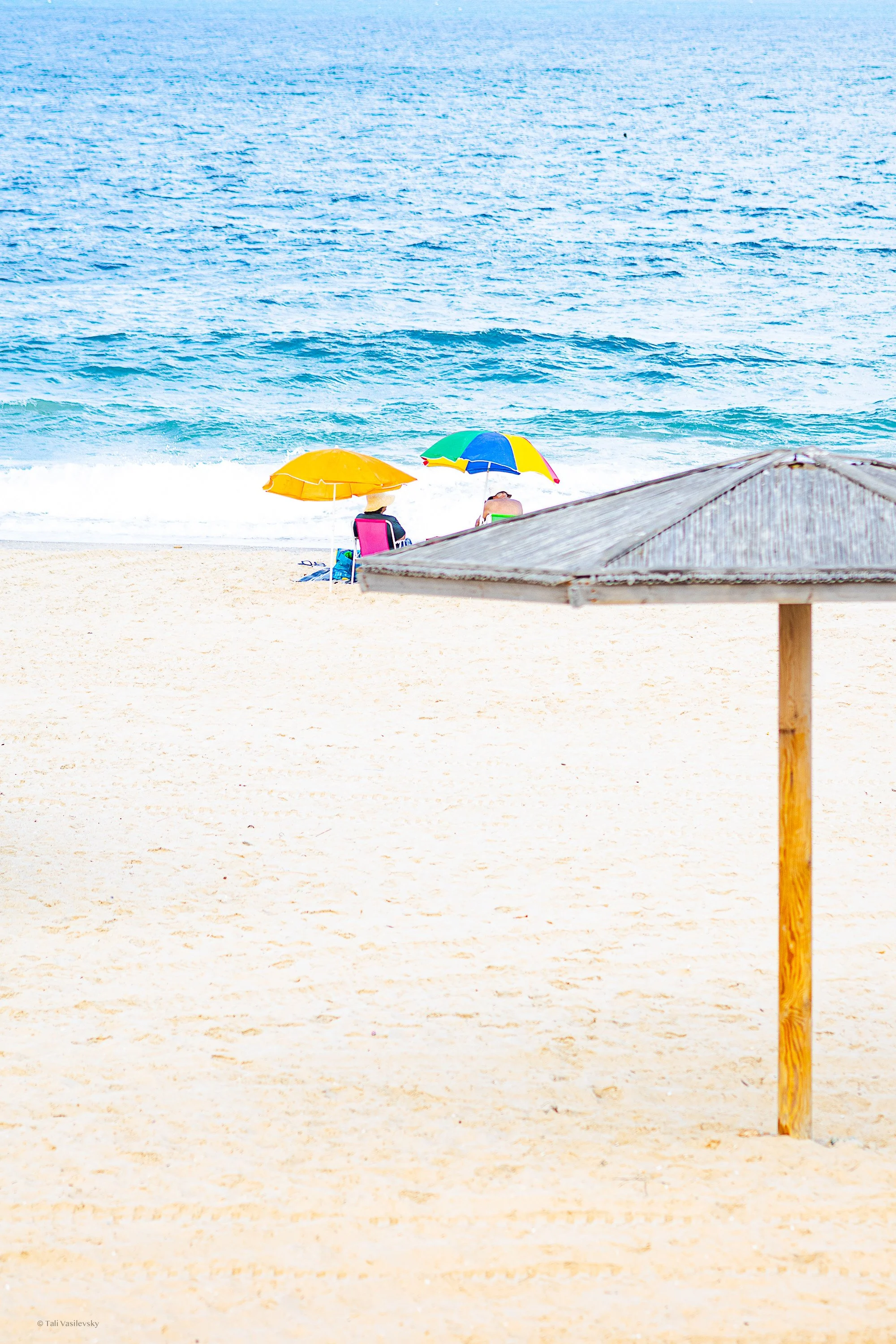 Tali Vasilevsky Photography -42.jpg