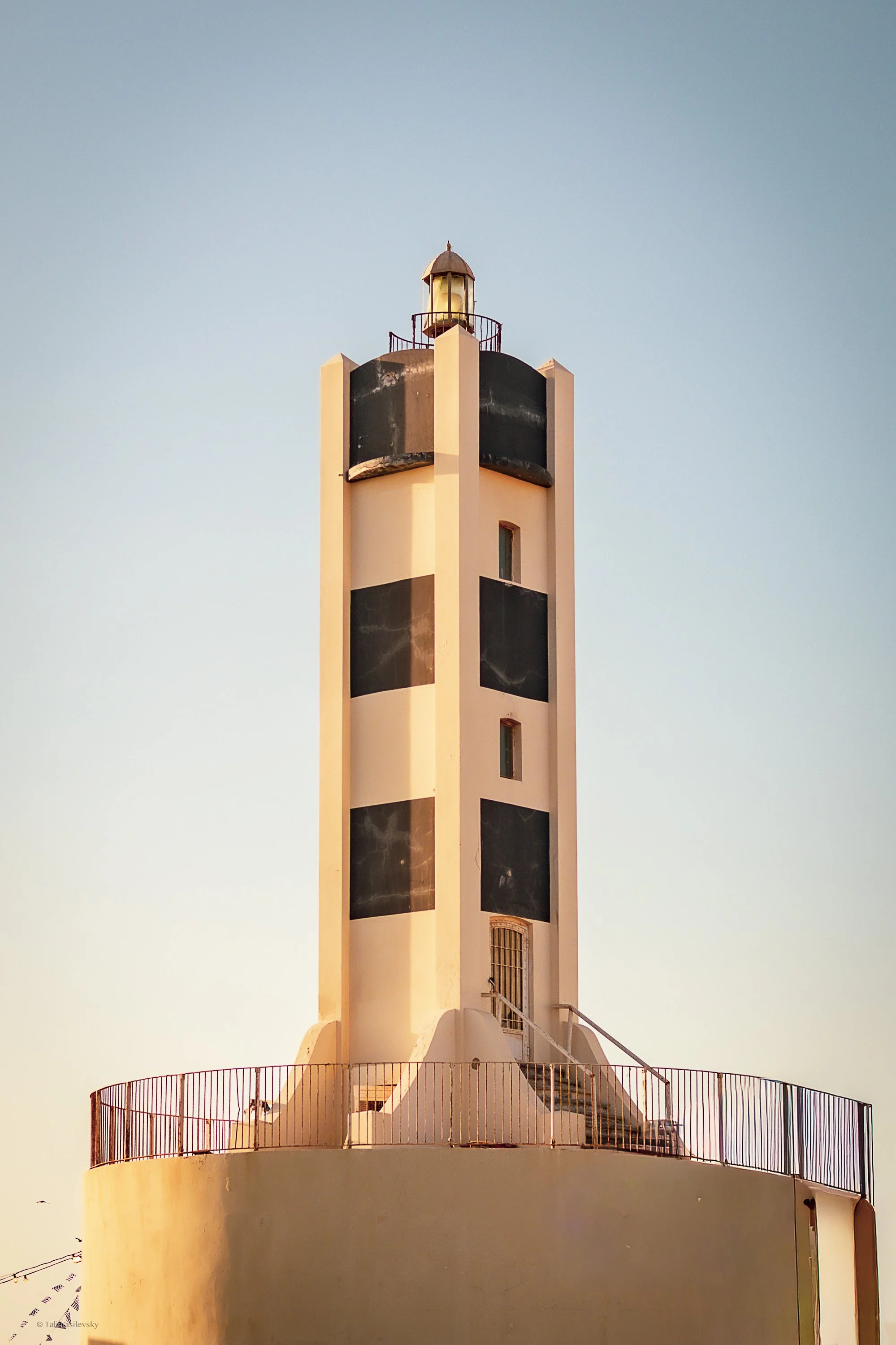 Tali Vasilevsky Photography -39.jpg