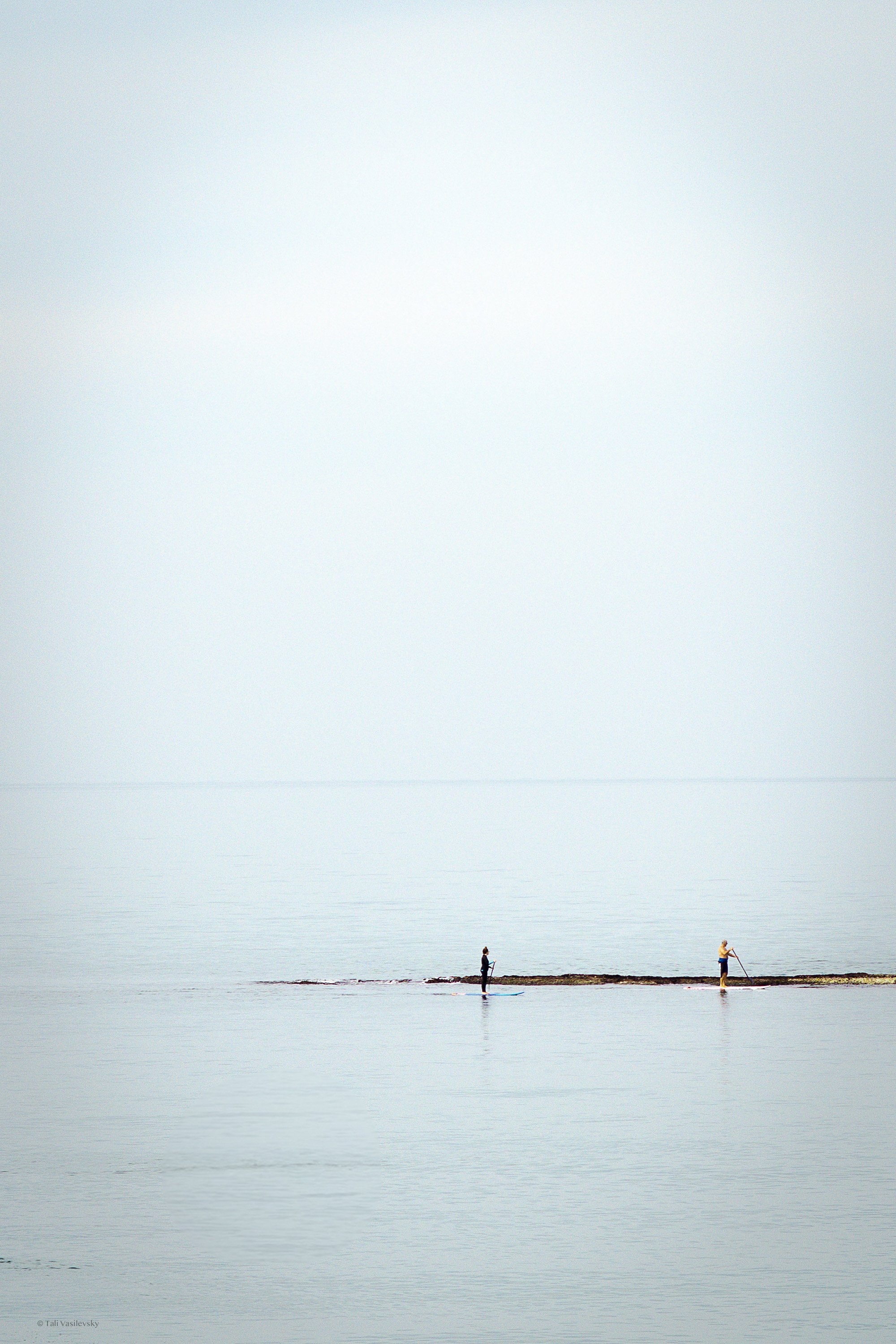 Tali Vasilevsky Photography -26.jpg