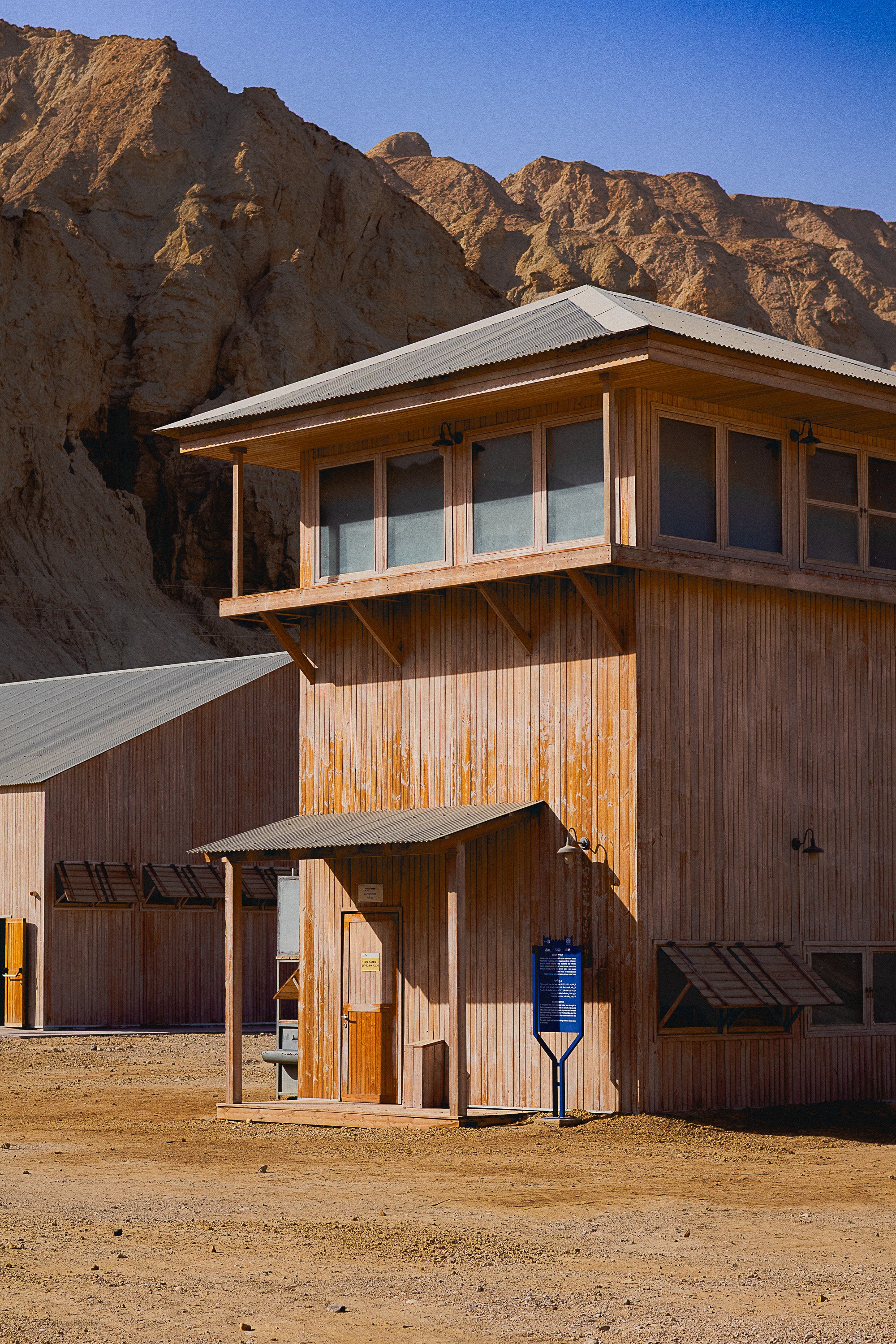 Tali Vasilevsky Photography -21.jpg