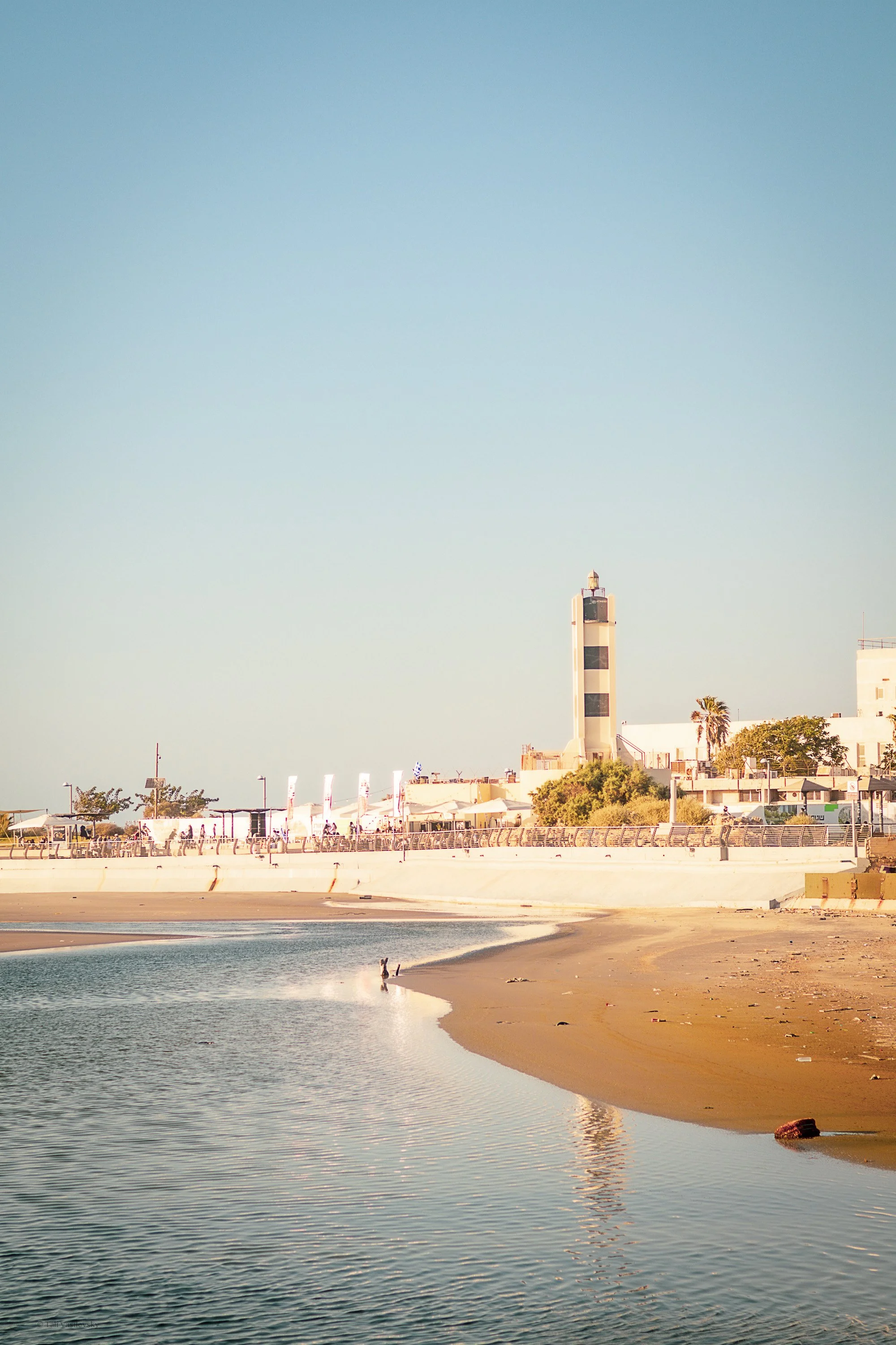 Tali Vasilevsky Photography -38.jpg