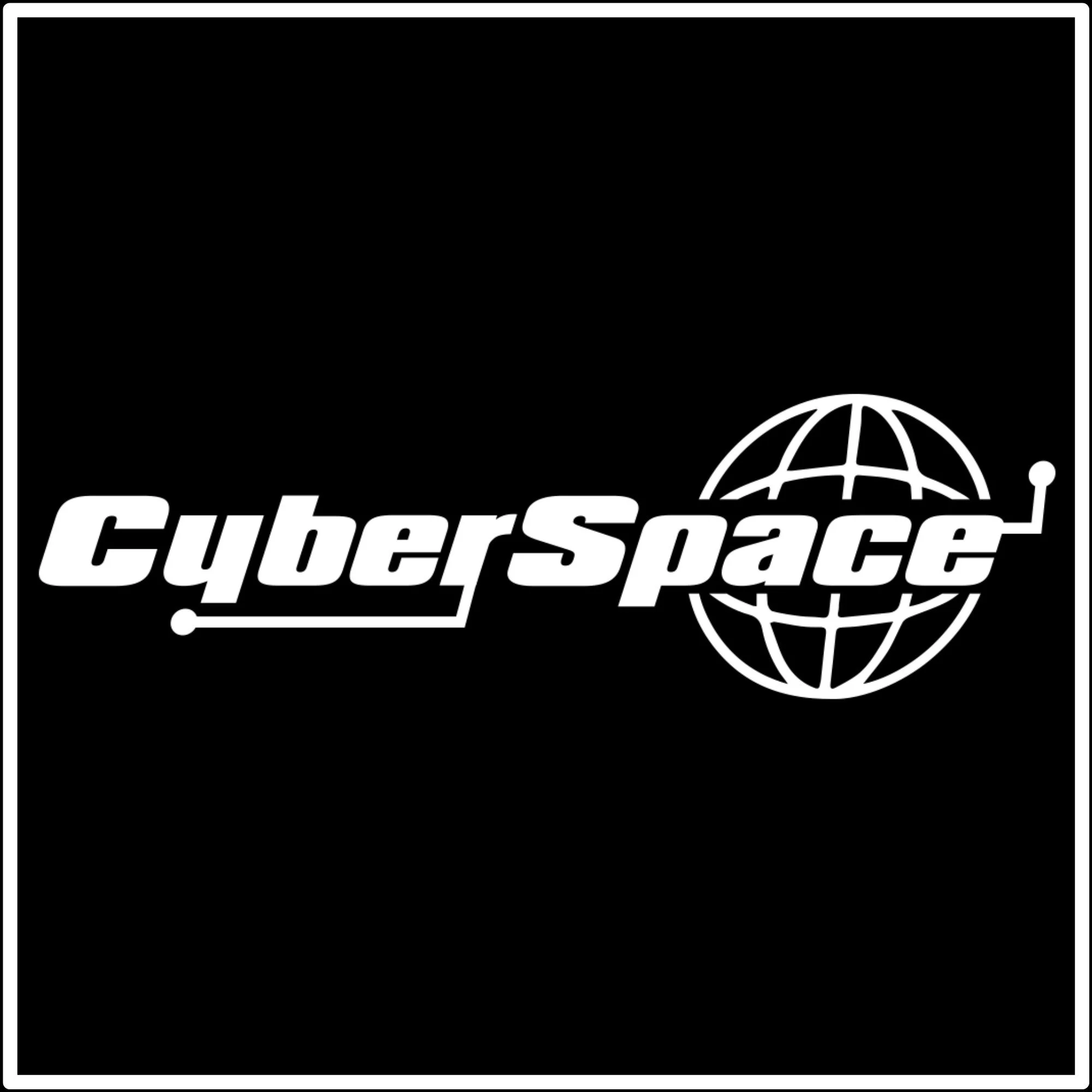 Black and white logo with the words 'CyberSource' and a globe icon.