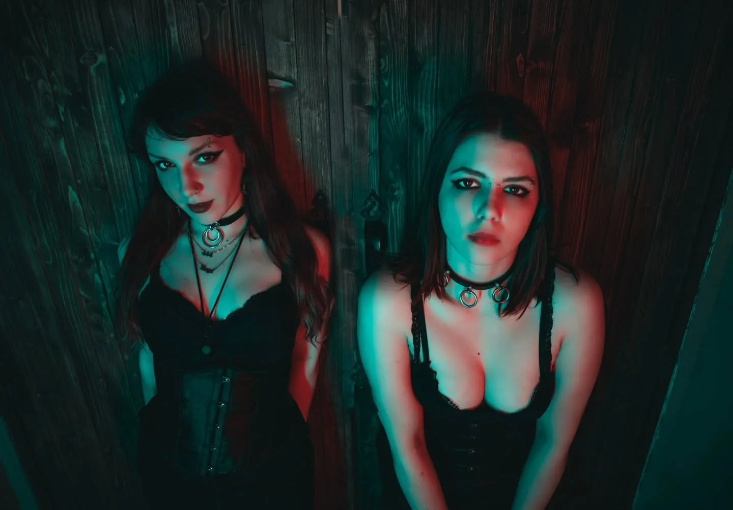 Do you think Vampires started the garlic rumour just to season their victims? 
.
.
.
#VampireVibes #NeonGoth #DarkAesthetic #TypeONegative #MoodyLighting #AltGirls #GothGirls #VampyLook #HeavyMetalAesthetic #TorontoPhotographer #DarkPortraits #Boudoi