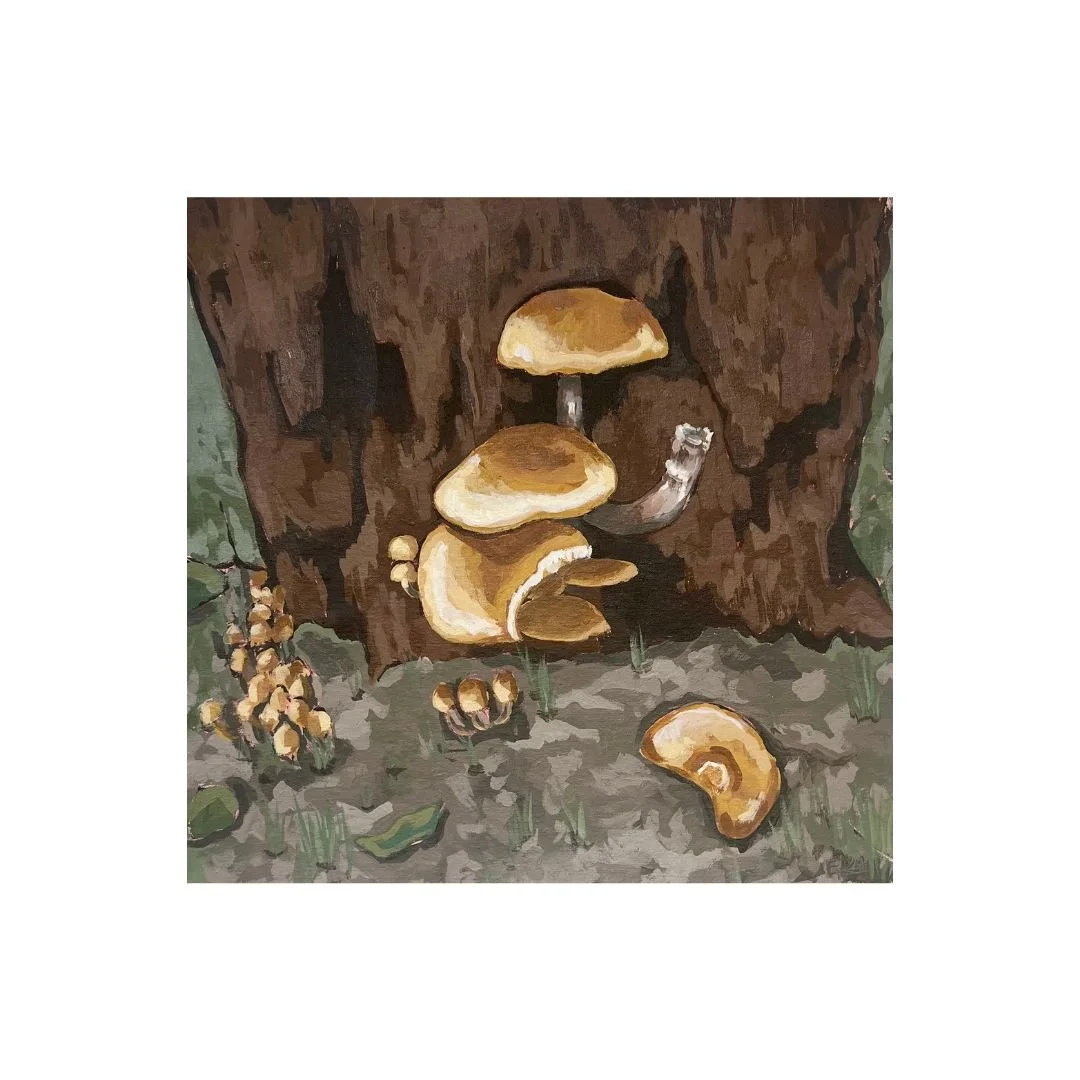honey mushrooms at the gorge, 22"x22", 2024