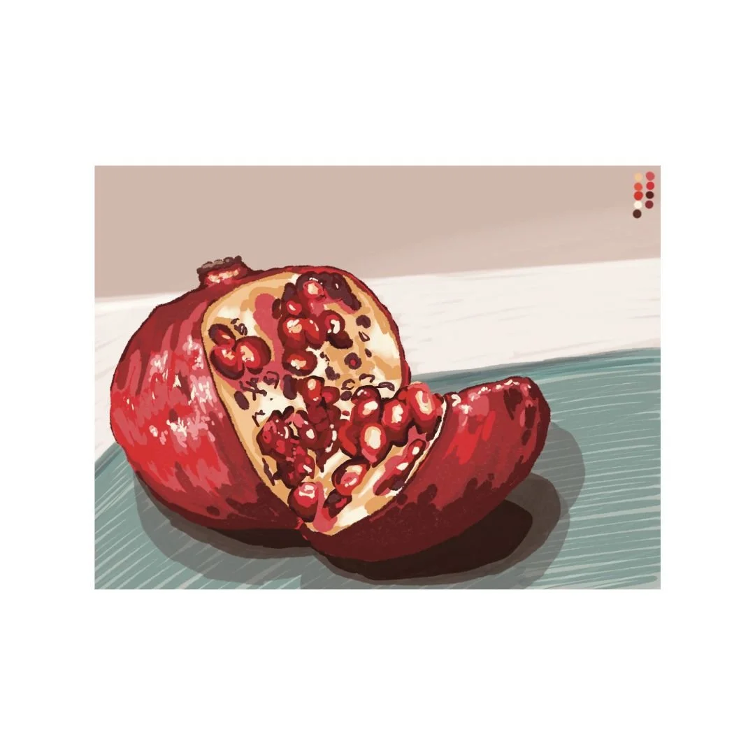 pomegranate study, digital, 2024