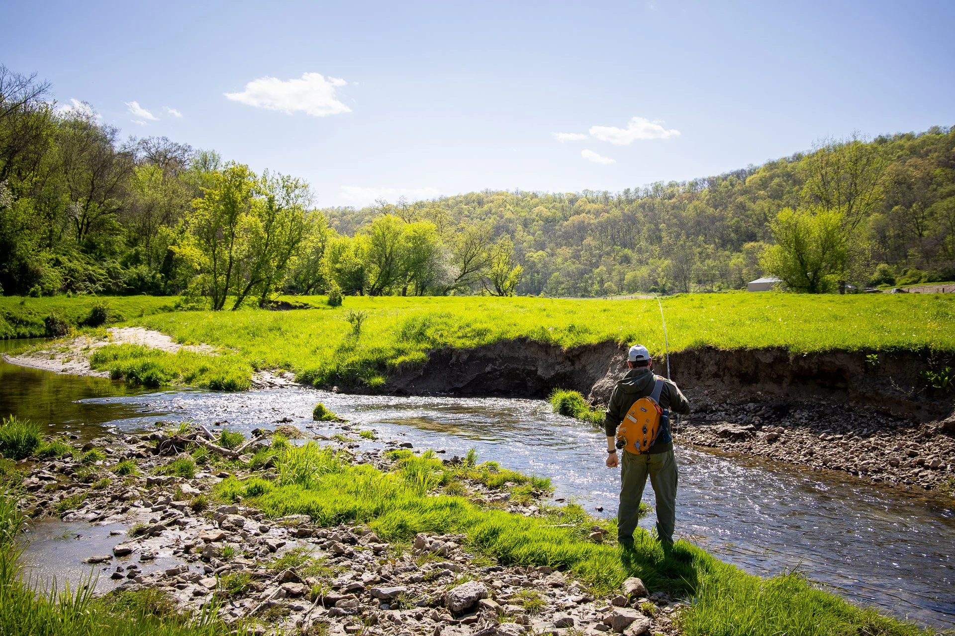 Fly fishing angler on a Driftless Area spring creek during 2026 trout camp