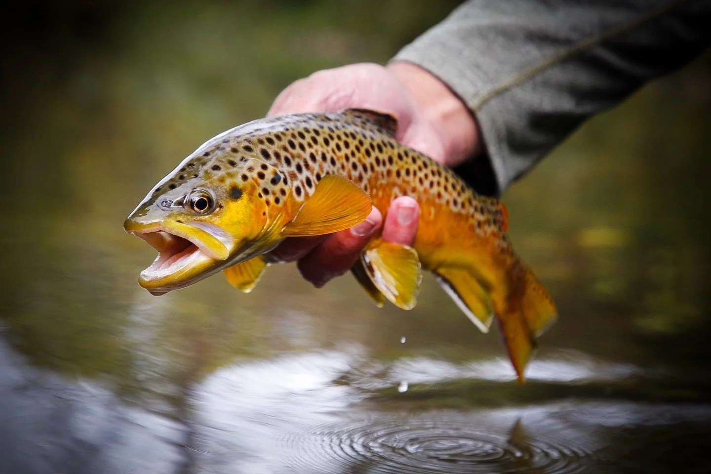 Mother Nature teased us with some warm weather, we think she was trying to say &ldquo;book your spring trips.&rdquo; There&rsquo;s only so many prime days, grab one.