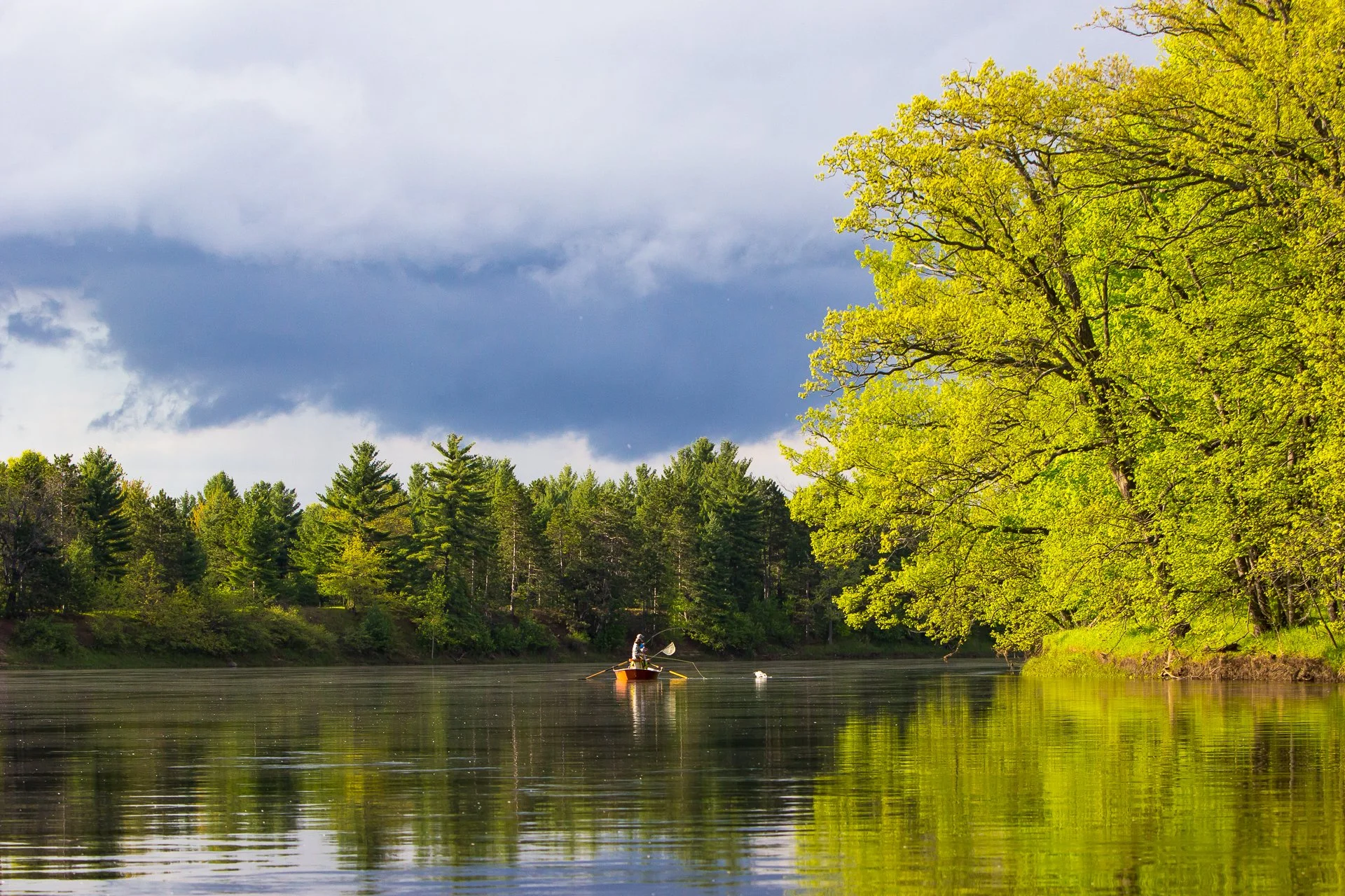 A fly fishing guide readies to net a smallmouth bass caught by an angler in Wisconsin for smallmouth bass.