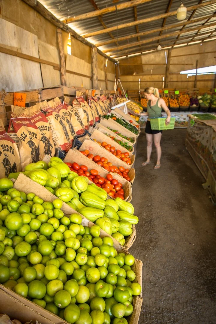 Fresh produce market in Baja, MX