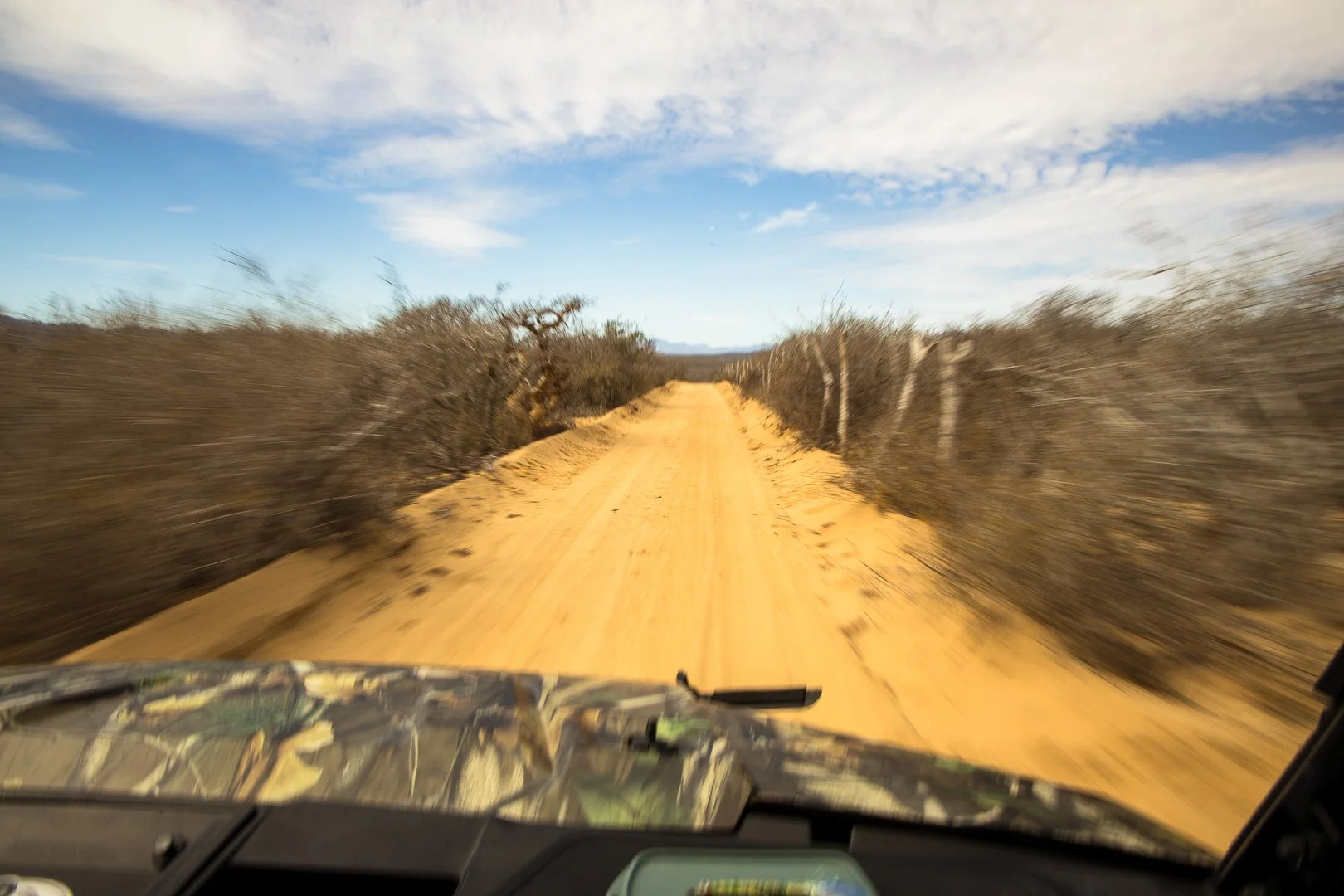 View from a UTV driving a dirt road in Baja in search of Roosterfish