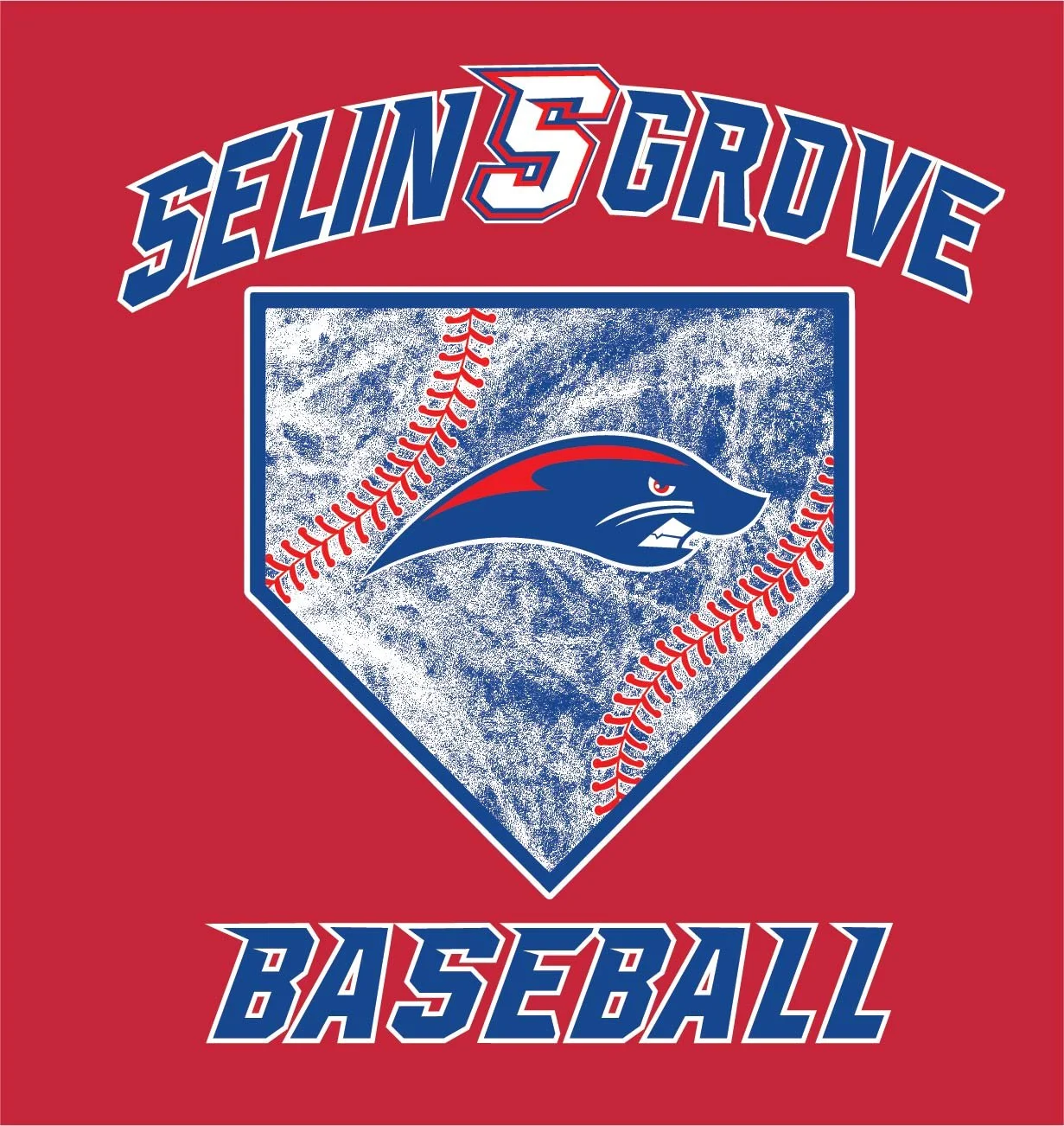 22386_Selisngrove Baseball-05.jpg