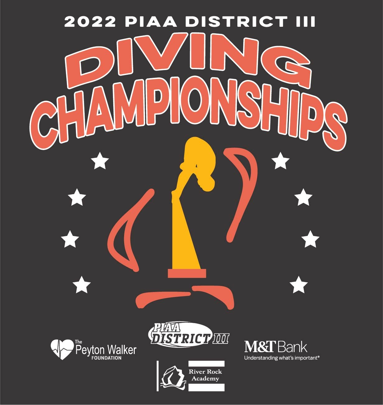 26169_PIAA District III Sports - Diving-04.jpg