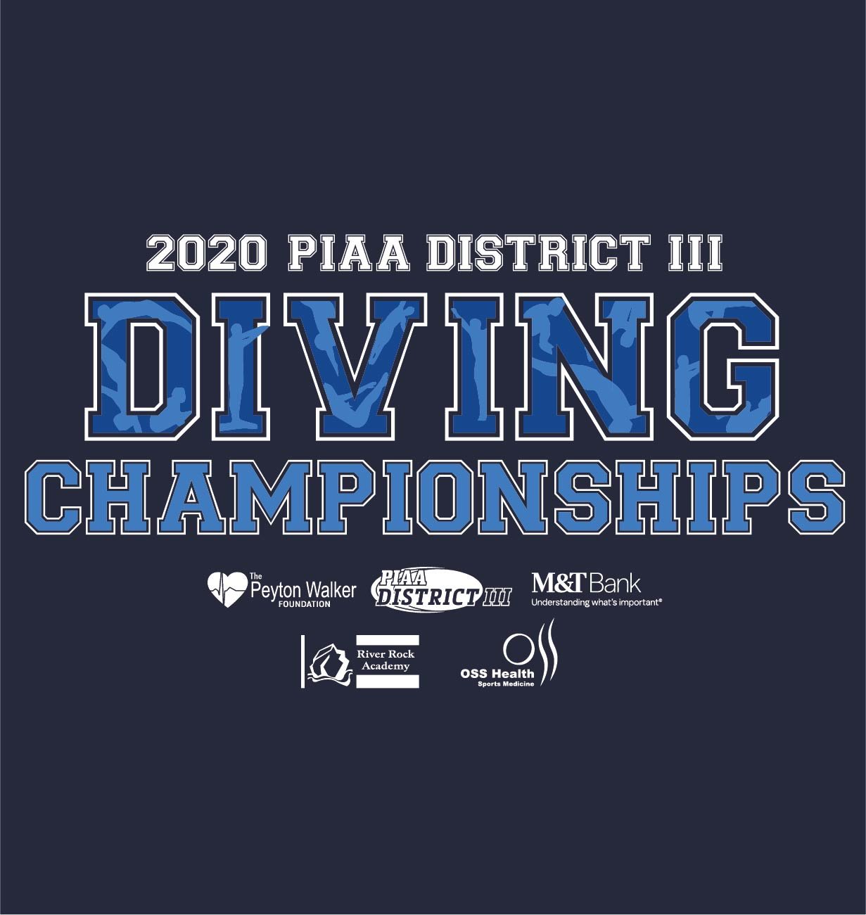 23753_PIAA District III Sports - Diving-04.jpg