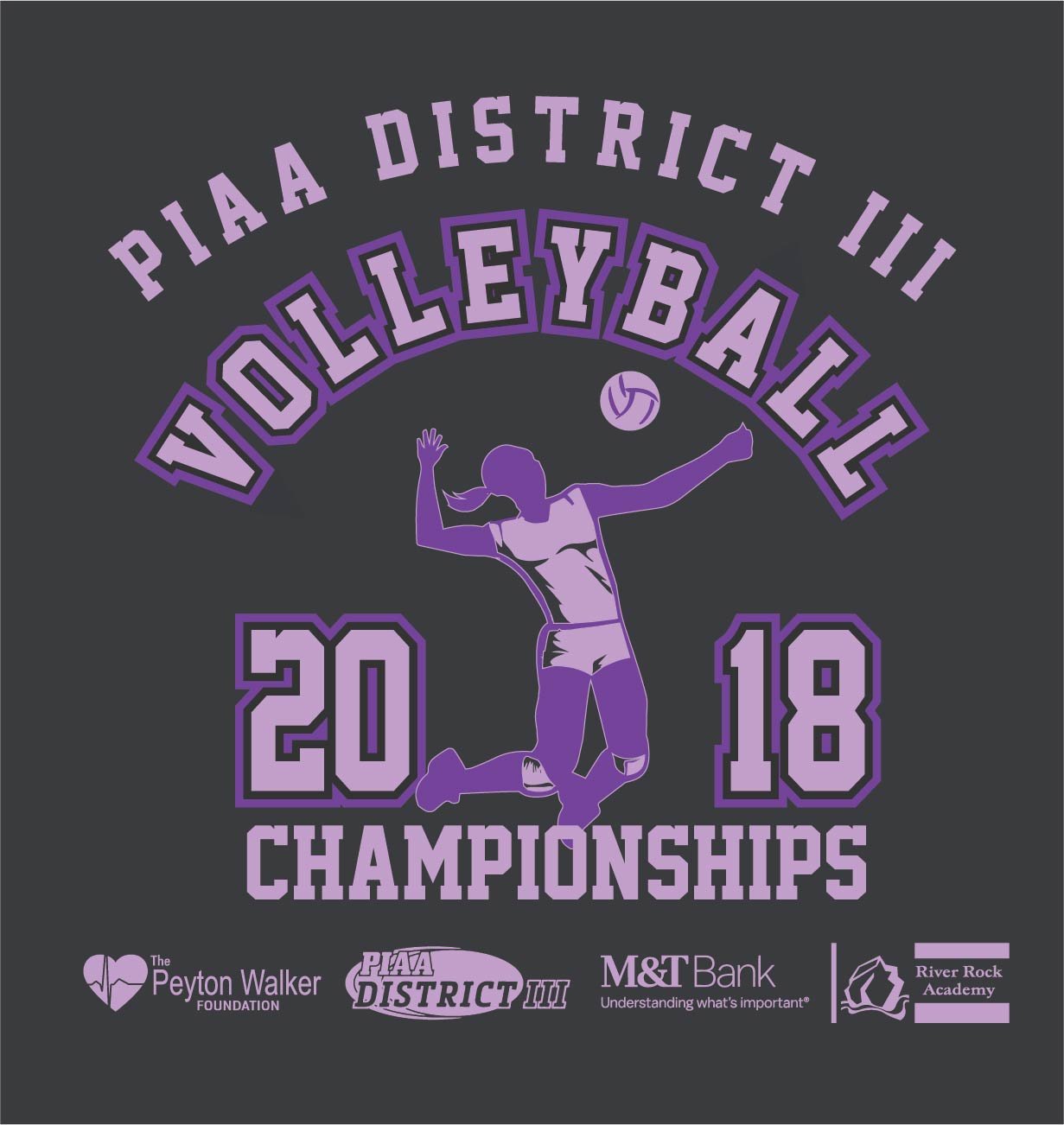 21803_PIAA District III Sports - GIRLS Volleyball-05.jpg