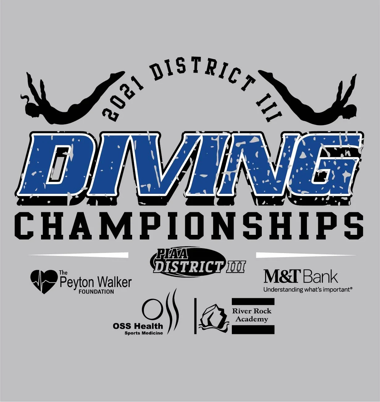 24771_PIAA District III Sports - Diving-04.jpg