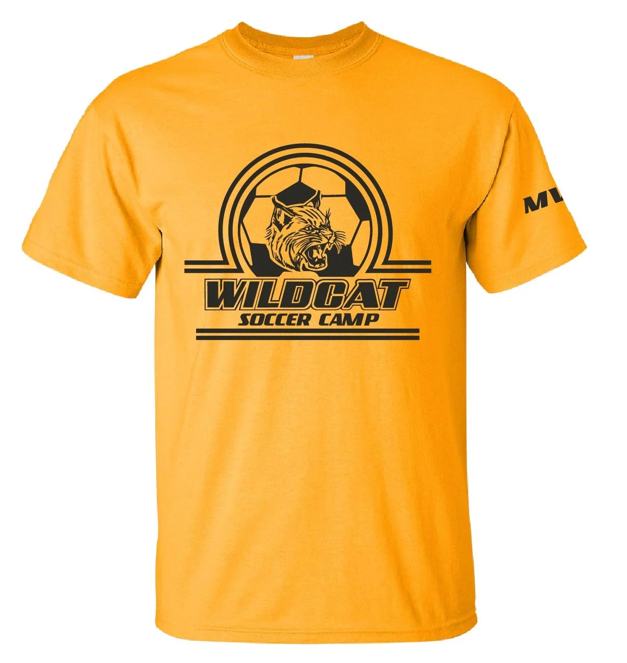 26683_Halifax Boys Soccer Wildcat Camp 22-05.jpg