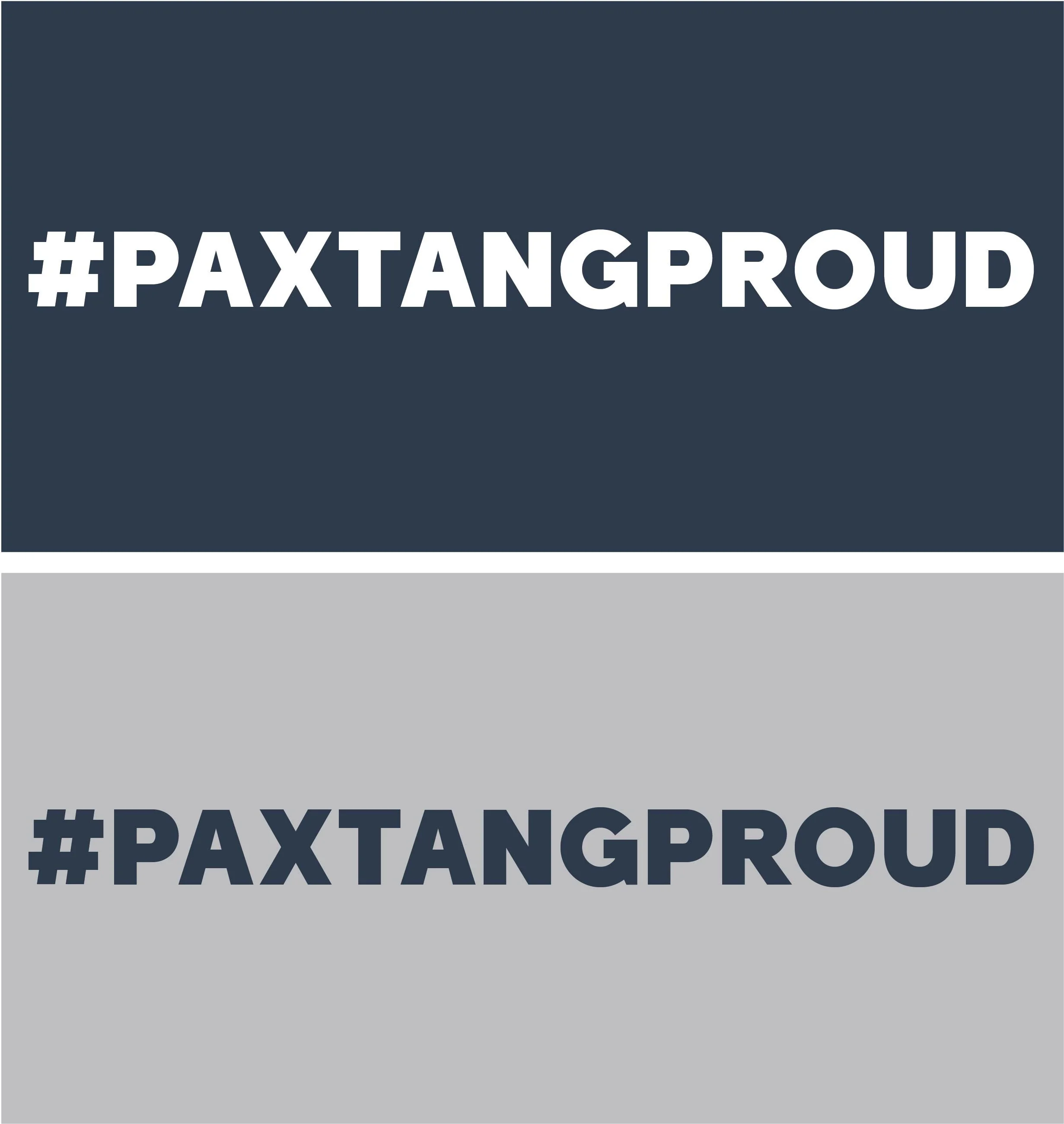 23402_Paxtang Elementary Spirit Wear 2019_Artboard 4.jpg