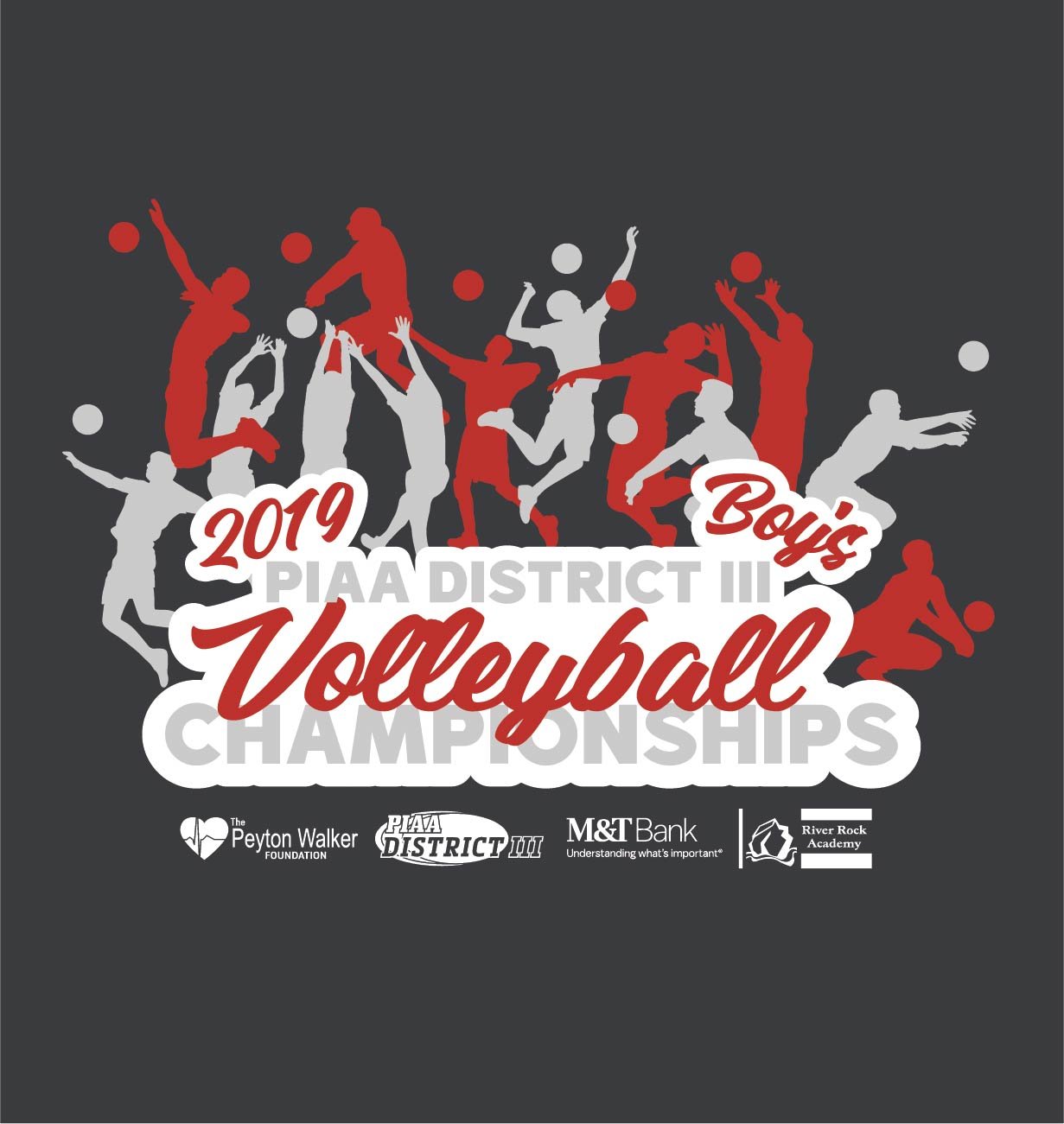 22717_PIAA District III Sports - Boys Volleyball-04.jpg