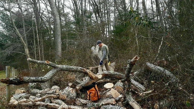 A person wearing a gray shirt, beige pants, and a black cap working in a wooded area, clearing fallen branches and logs with debris and a backpack nearby.