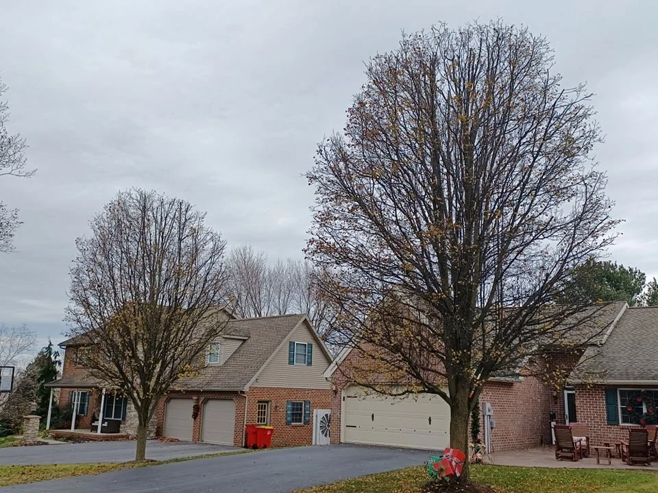 A suburban neighborhood with two brick houses, trees with autumn leaves, a driveway, and an overcast sky.