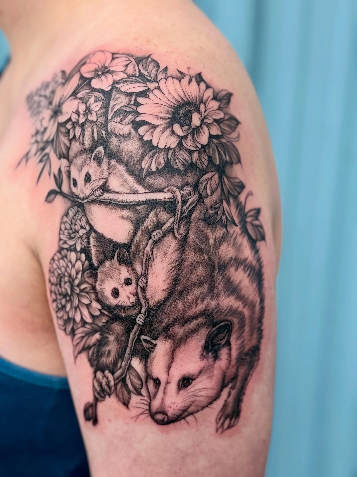 Opossum fam and flowers by @dougtesh ✨