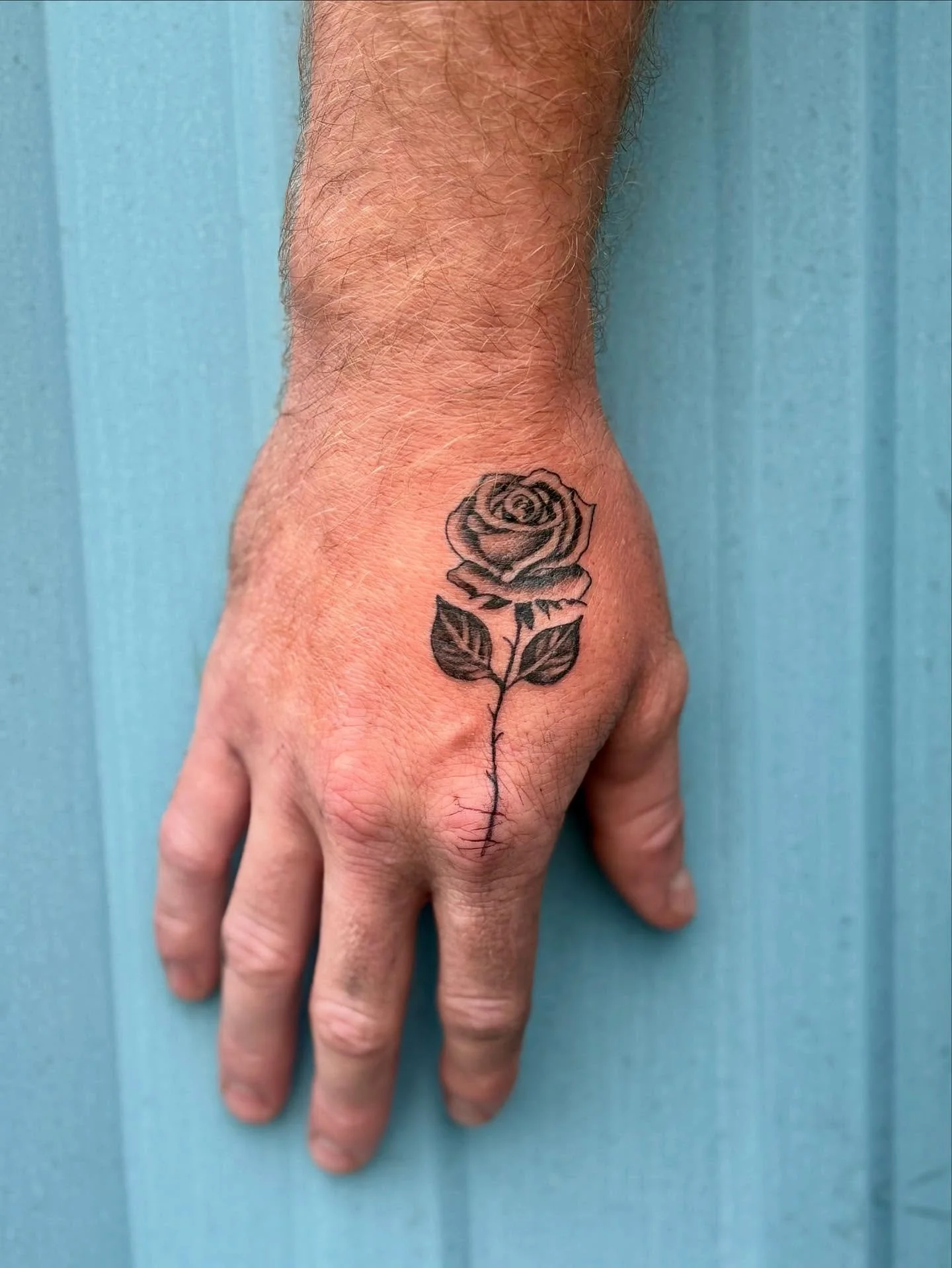 🌹by @rossiprojects