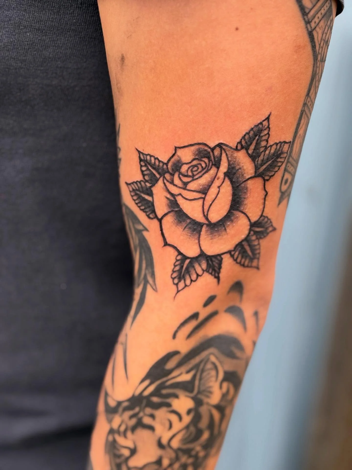 Rose gap filler for @sedapsfoeca 🌹by @rossiprojects #rosetattoo #blackandgreytattoo