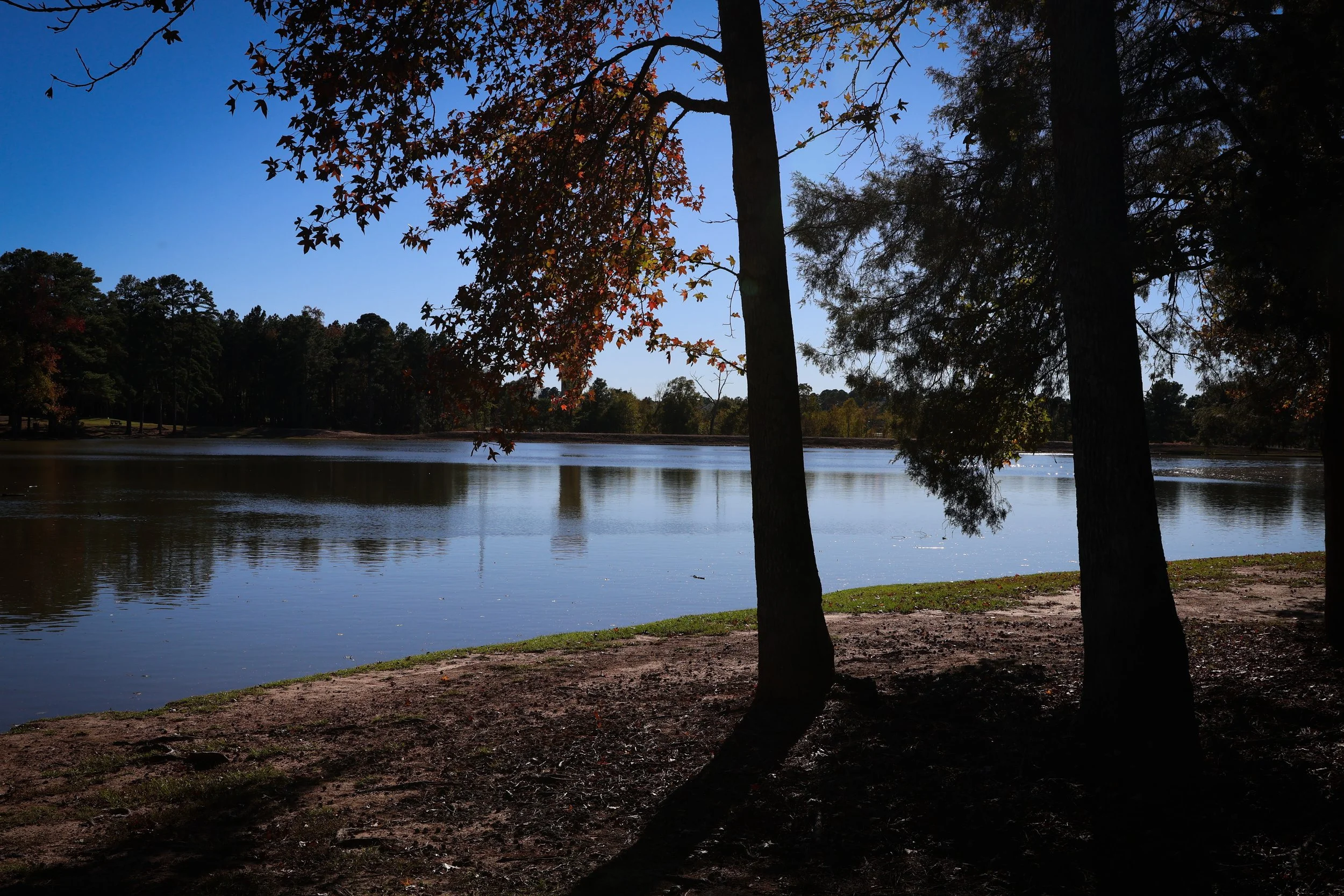 OITP_ Nov 24-23.jpg