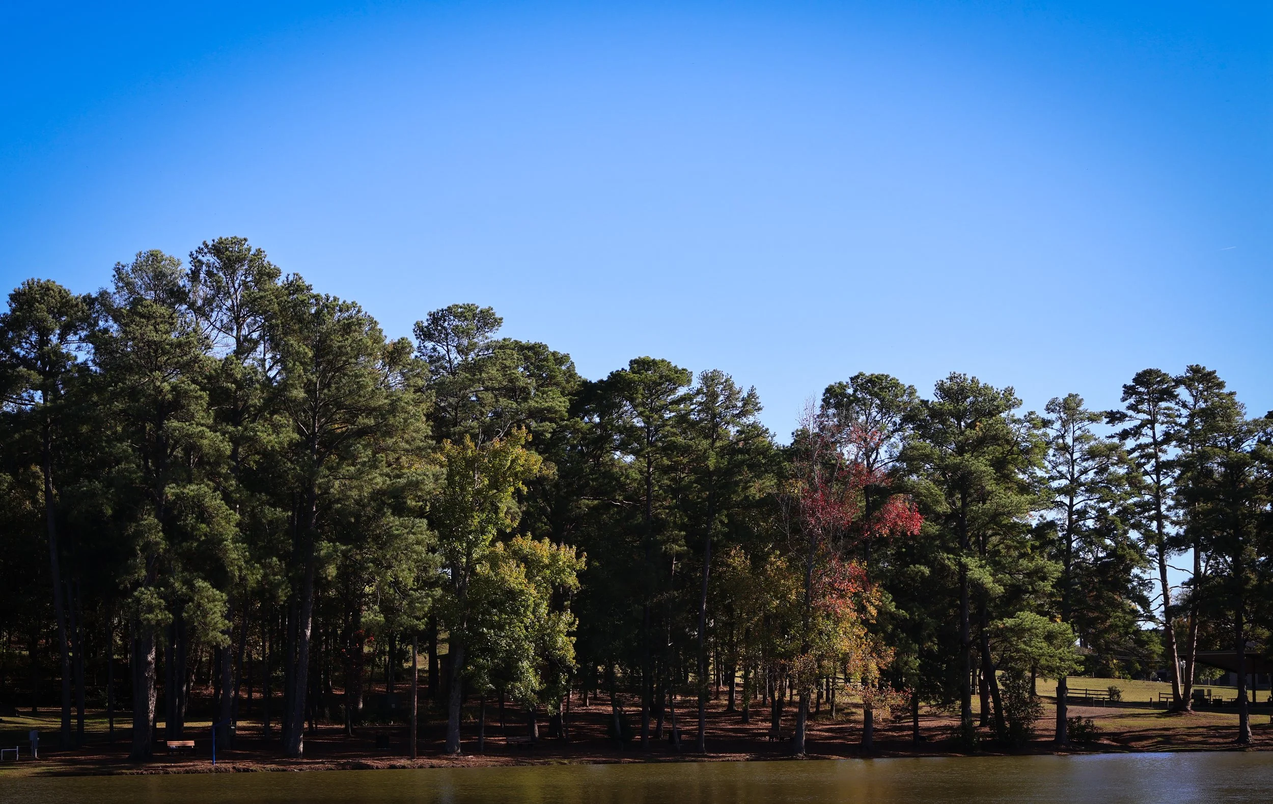 OITP_ Nov 24-28.jpg