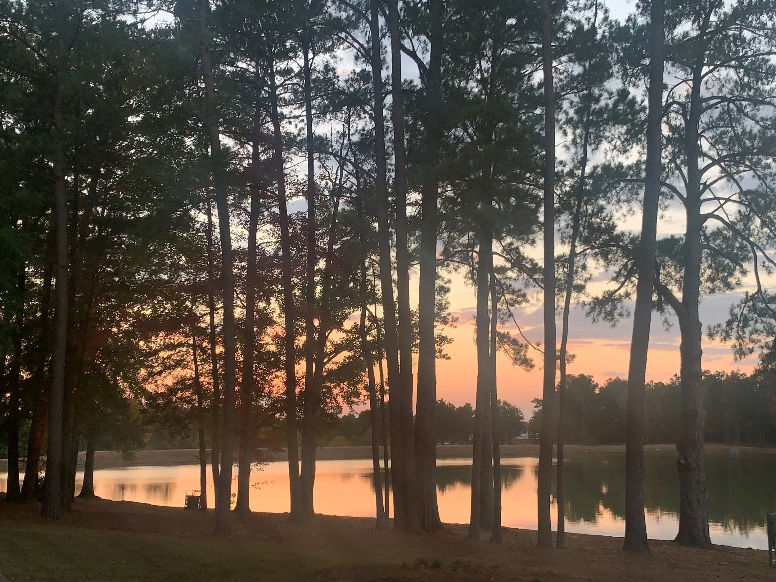 williams lake.jpg