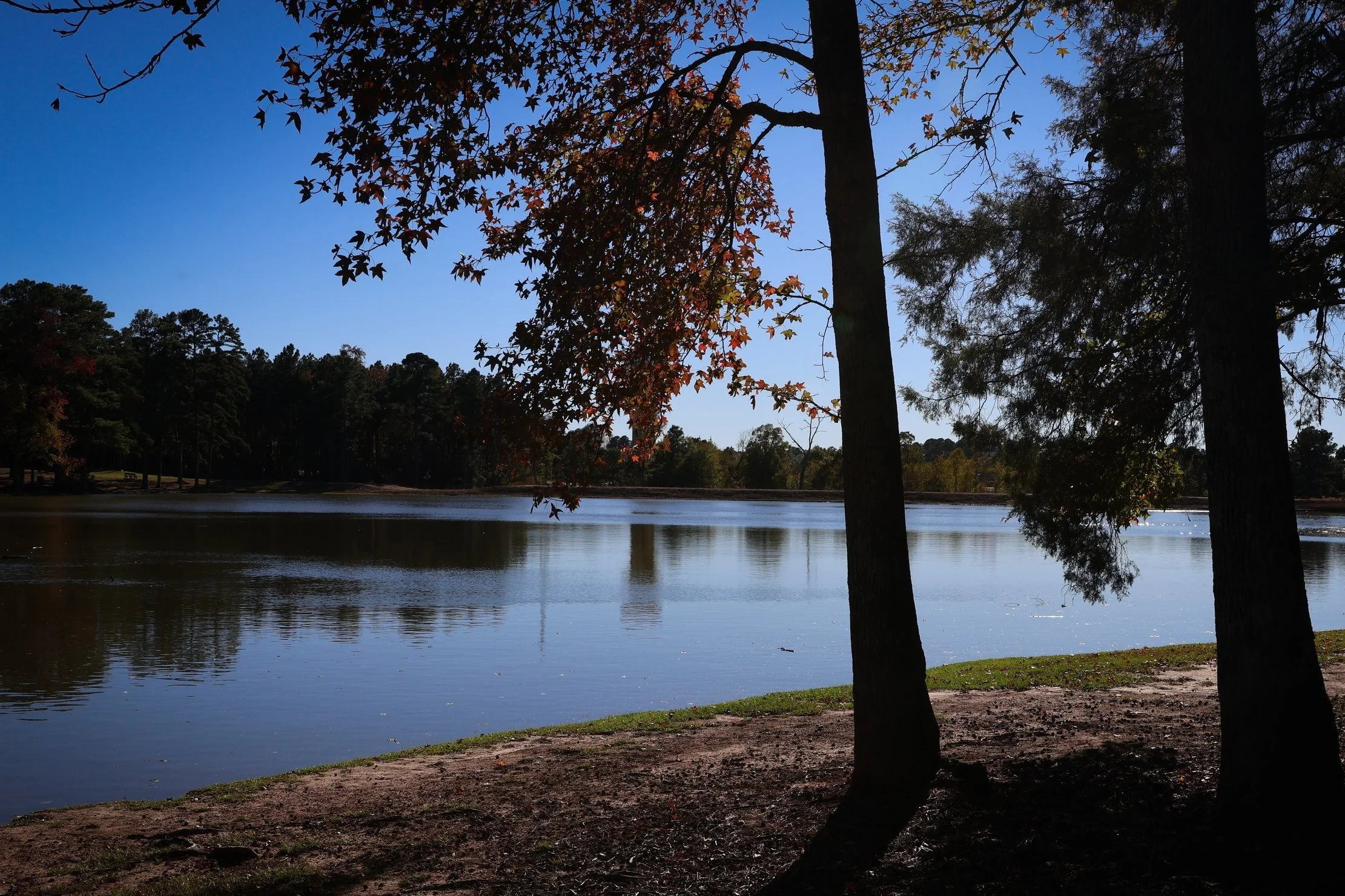 OITP_ Nov 24-23.jpg