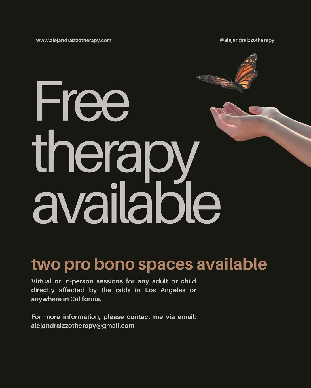 Hello friends, I am offering two pro bono therapy spaces for anyone directly impacted by the immigration raids. I am bilingual in English/ Spanish and work with both adults and children. 

Please share this along so it may reach someone who needs the