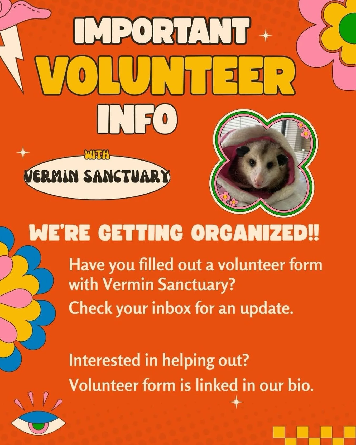 Volunteer update sent!!! 
Check your inbox or visit the link in our bio to get involved.

🦝💚