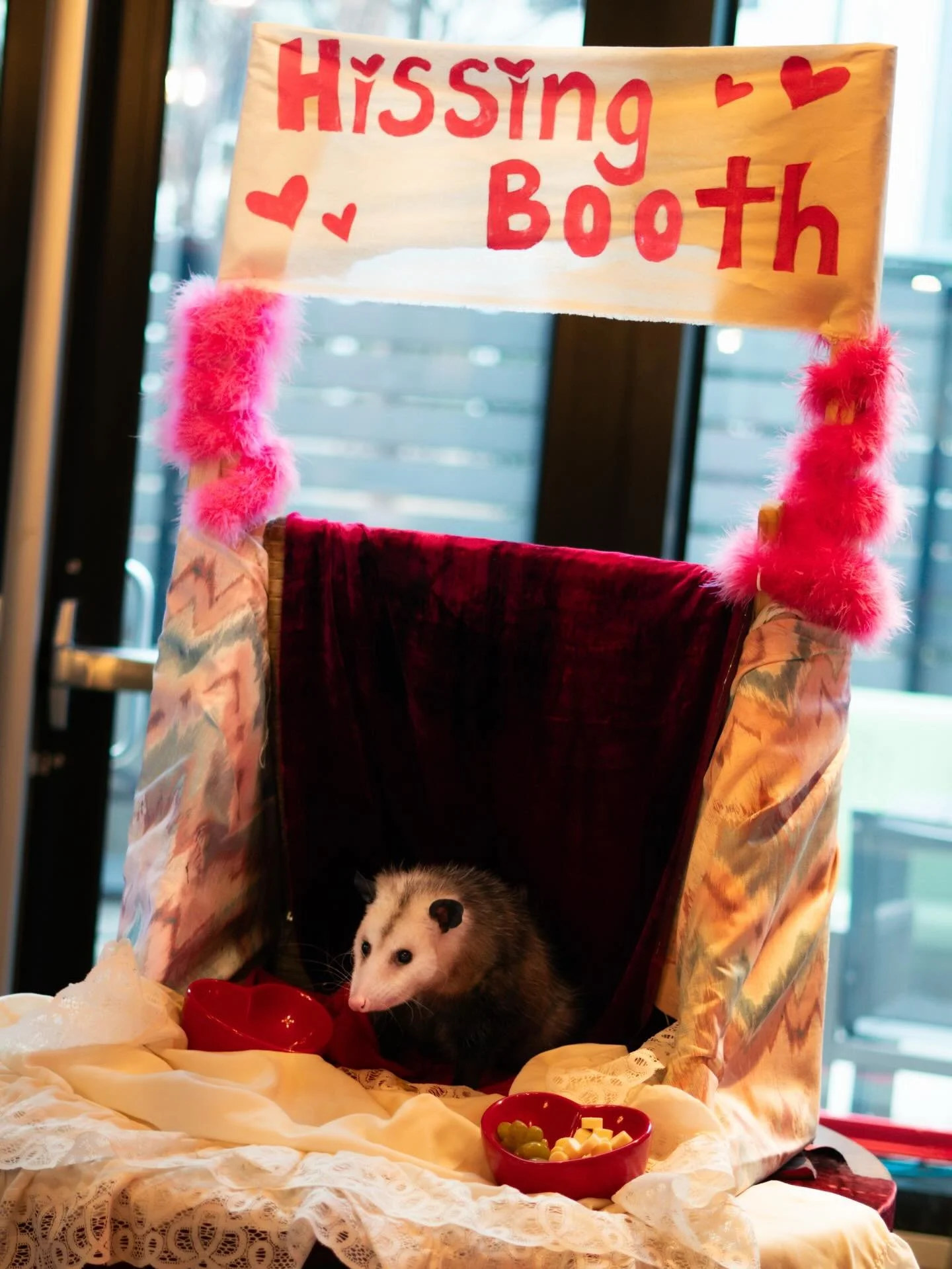 The &ldquo;Hissing Booth&rdquo; was cute.
The education was the point. 💕

This Galentine&rsquo;s at We Nation / Live Nation, Ozzy and Gizzard &mdash; our educational ambassadors &mdash; helped us talk about coexistence, prevention, and why keeping w