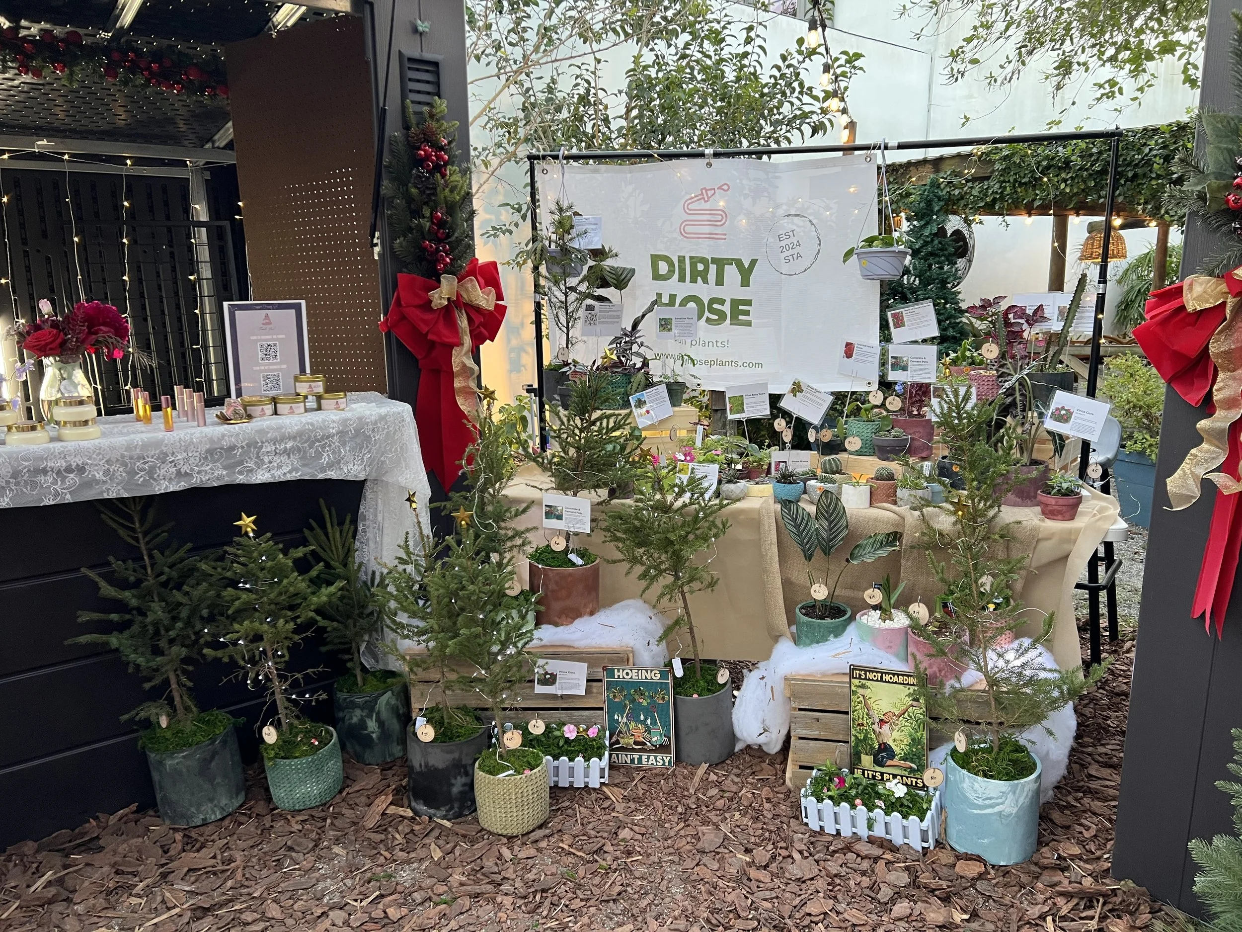 Christmas-themed plant display with small potted plants, Christmas trees, and holiday decorations.