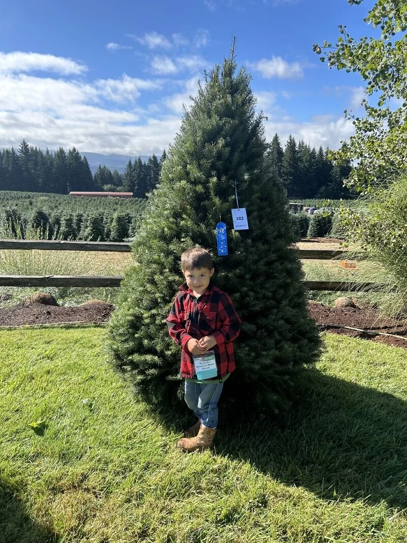 PNWCTA Christmas tree Competition