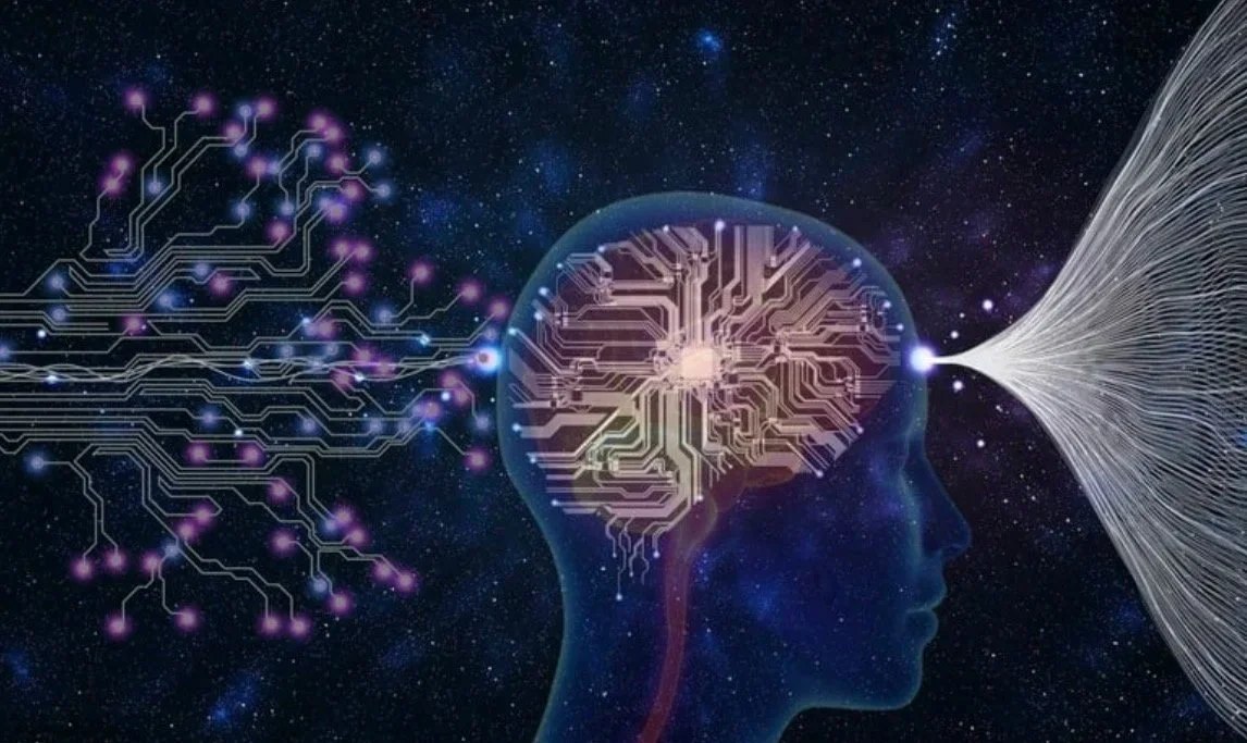 Brain illustration showing memory processing, EMDR therapy Florida, how EMDR works