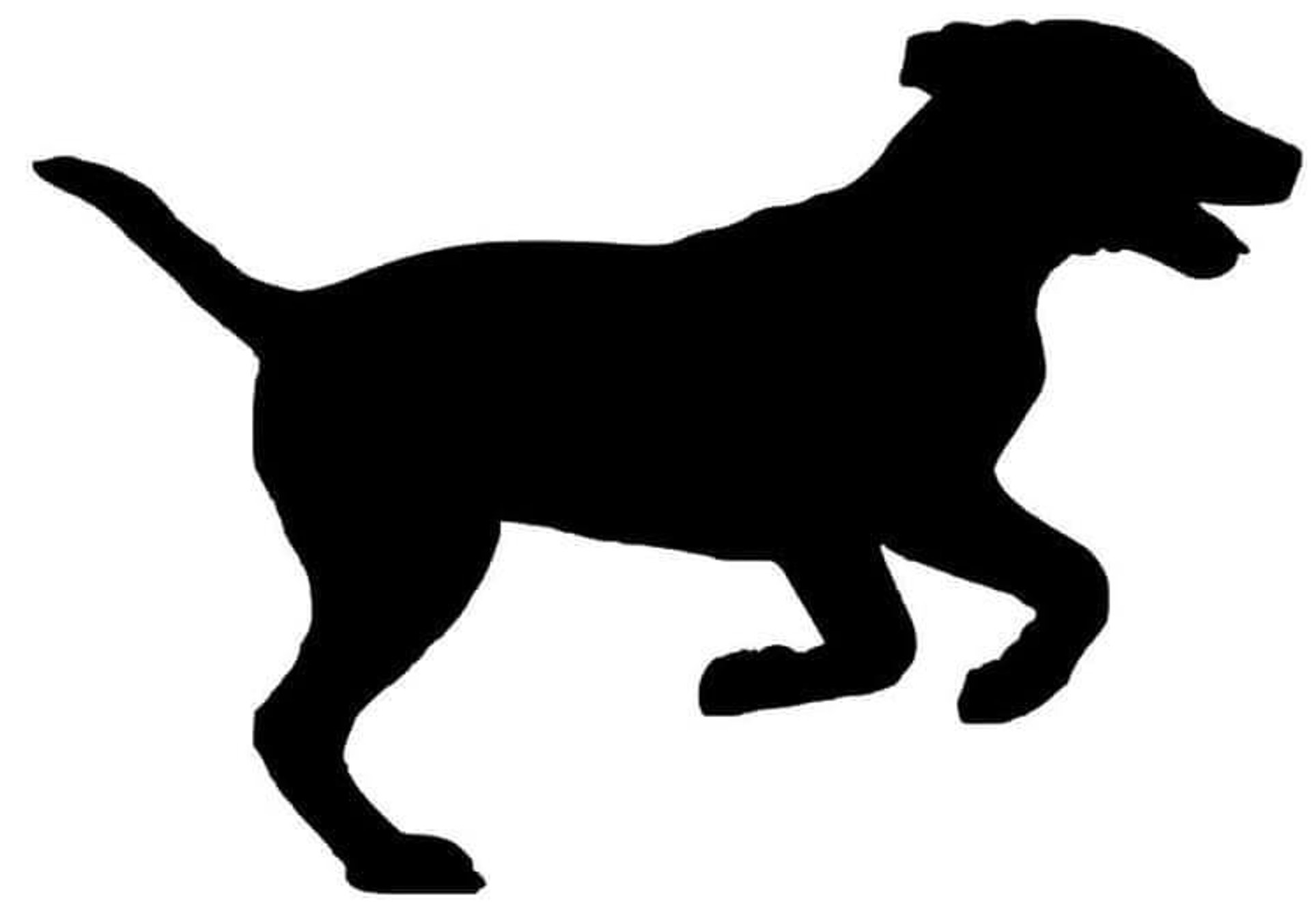 Silhouette of a running dog, possibly a retriever, against a white background.