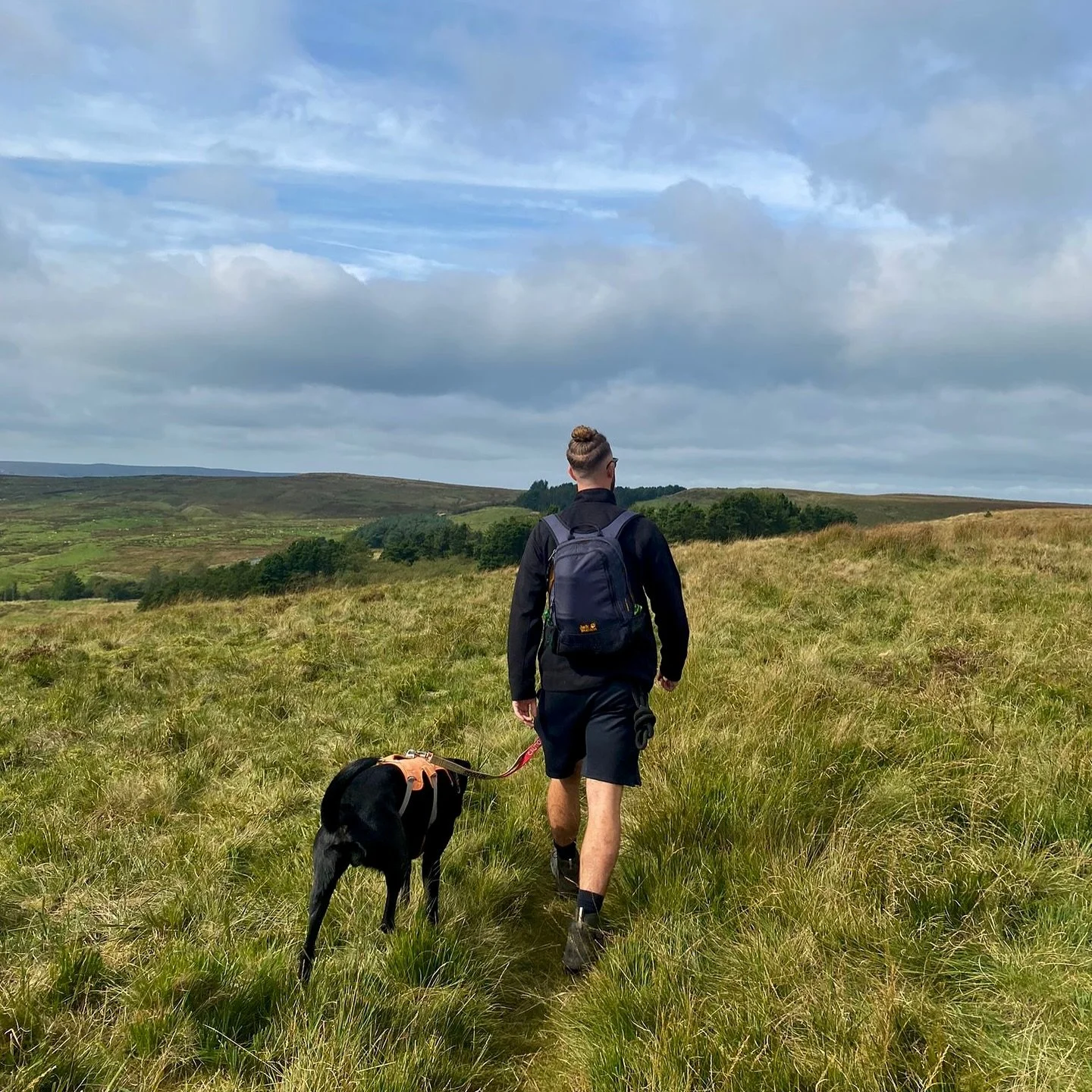 A person hiking with a dog through a grassy field on a cloudy day.