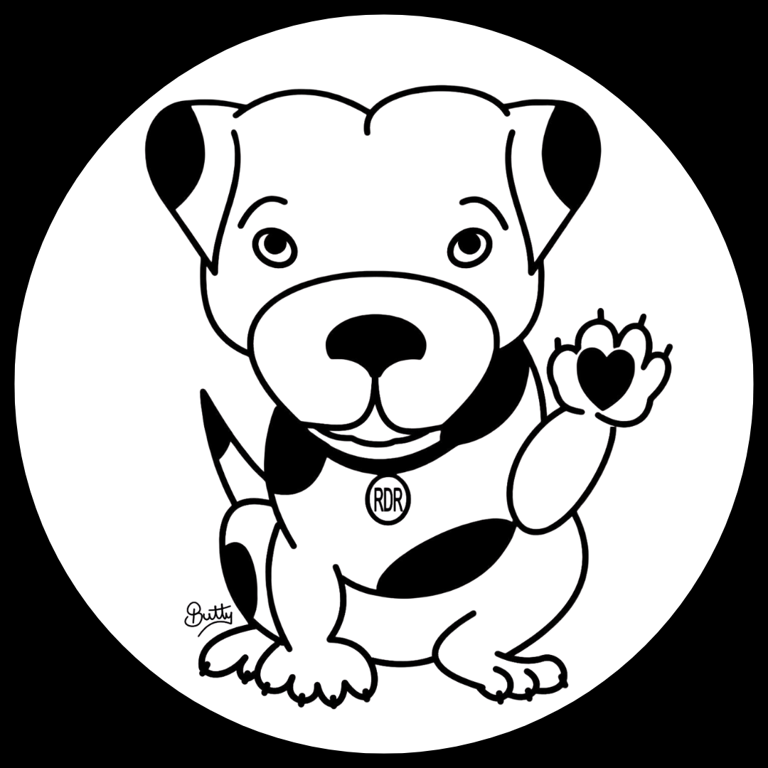 Black and white drawing of a cute, cartoon-style pit bull puppy with patches, sitting with one paw raised and a heart on its paw. The puppy has big eyes, a broad nose, and is wearing a collar with a pendant marked 'RDR.' signature 'Butty' is in the lower left corner.