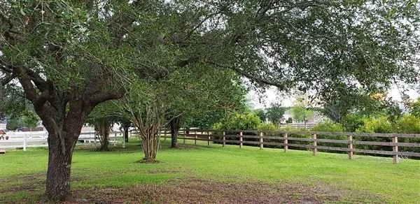 Derby Oaks 1.jpg