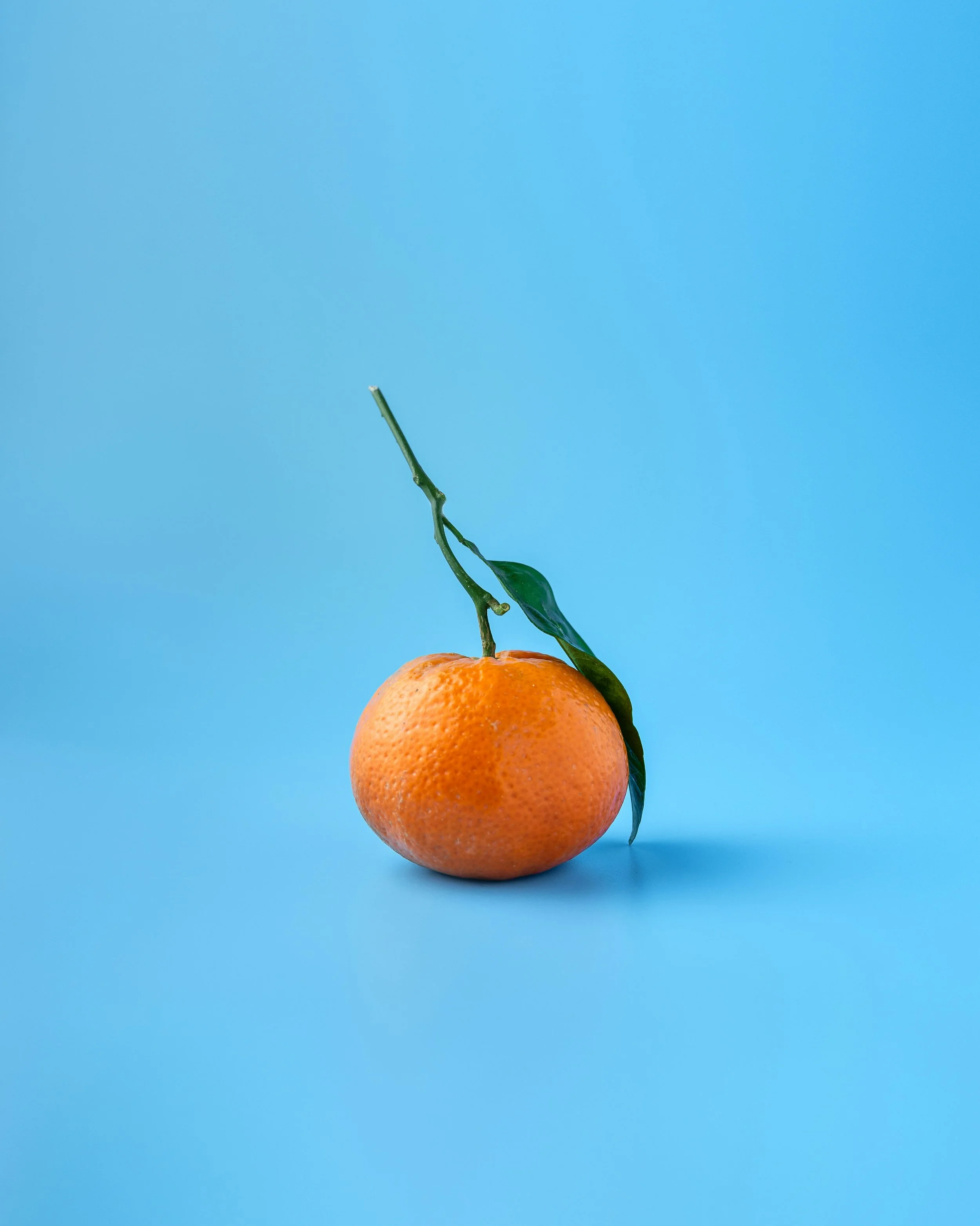 A tangerine with a small green leaf and stem, placed on a blue background.